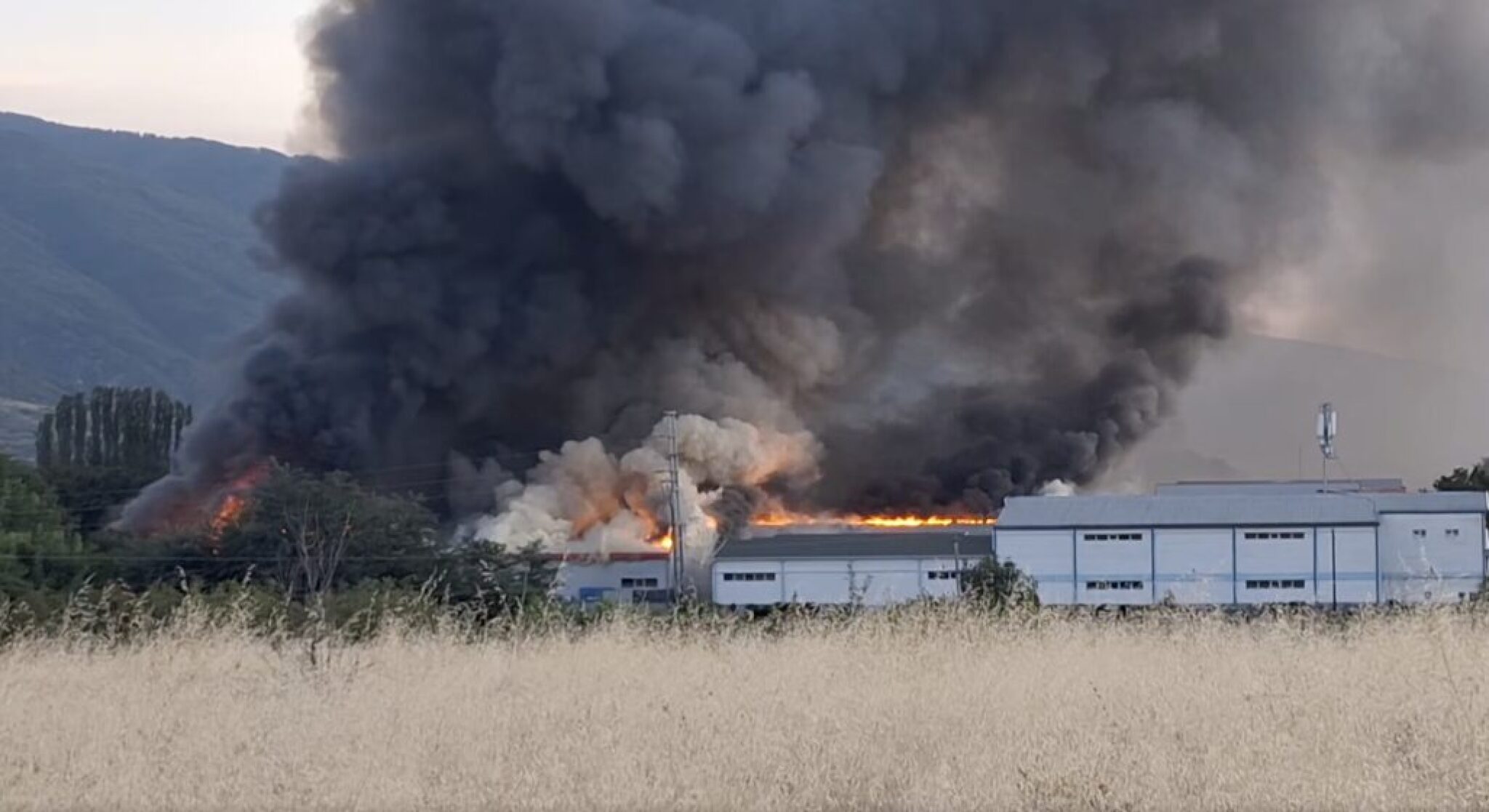 Screenshot-2025-09-07-at-09.26.05