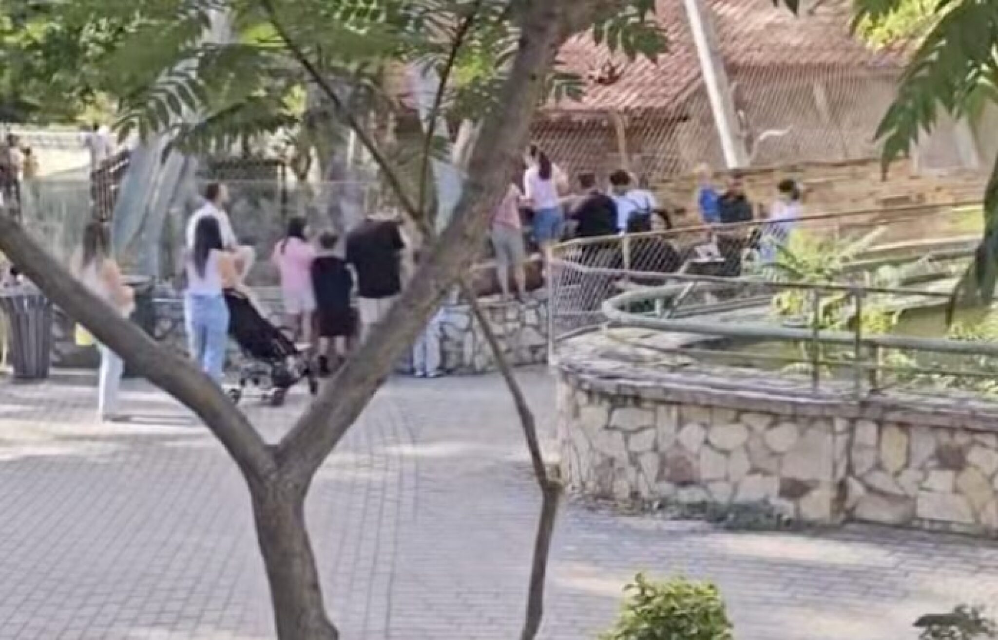 Screenshot-2025-09-01-at-11.29.08