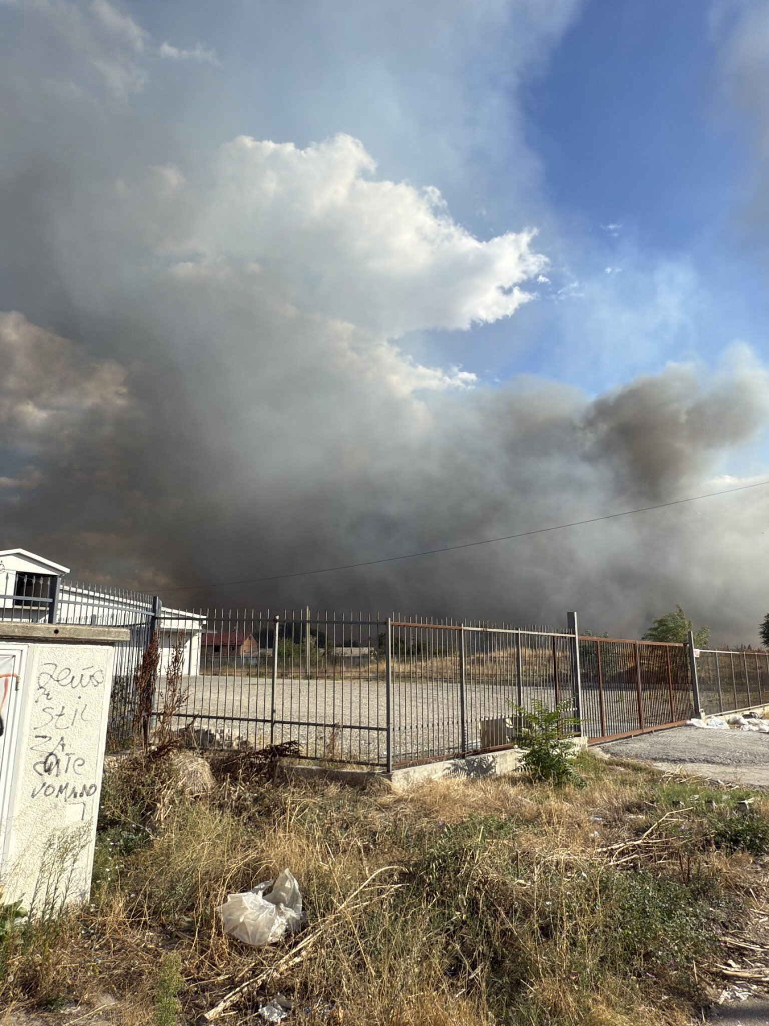 viber_image_2025-08-31_16-40-56-292