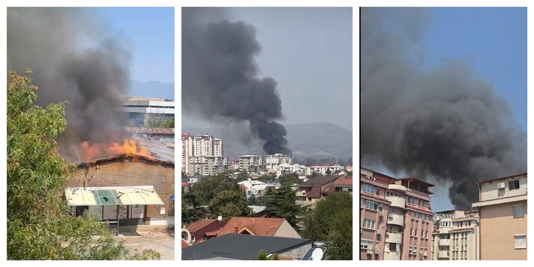 MixCollage-21-Aug-2025-12-15-PM-7744