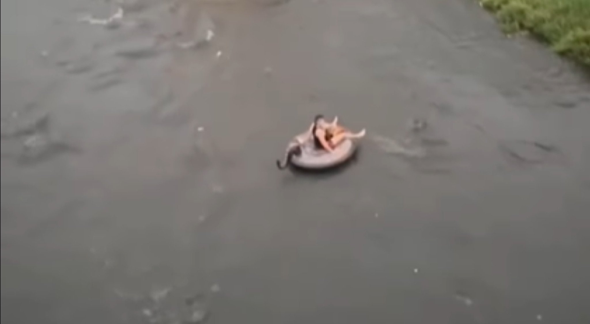 screenshot-2025-08-09-090637