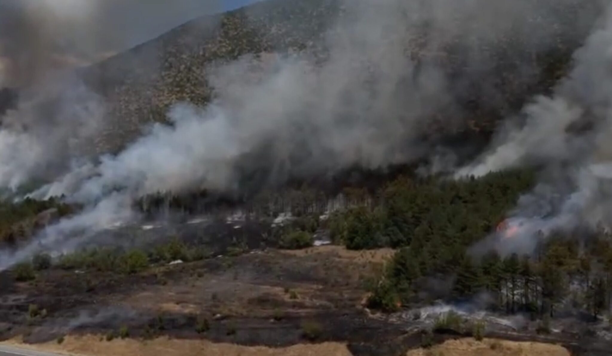 Screenshot-2025-07-19-at-15.47.48