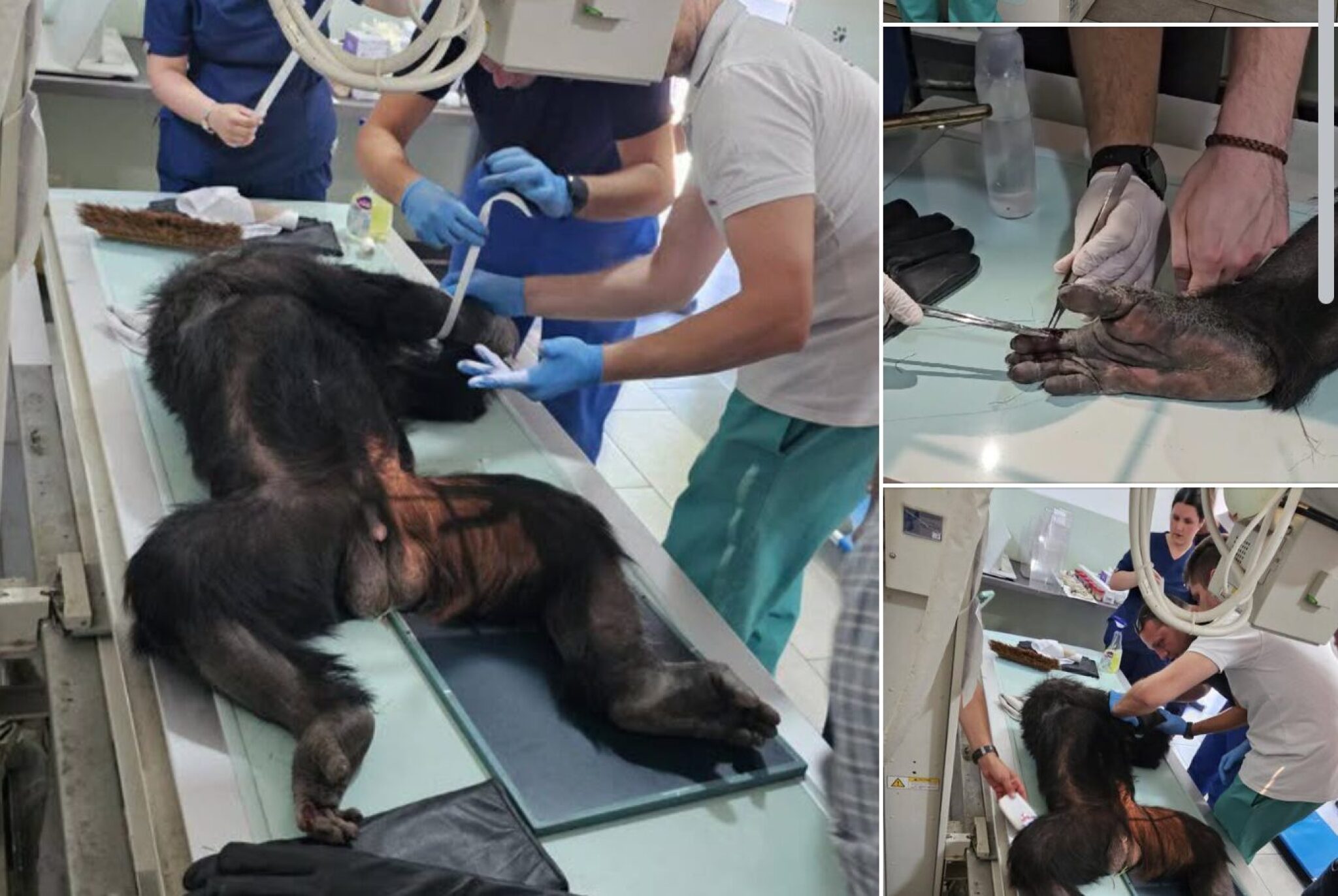 Screenshot-2025-07-19-at-09.45.10