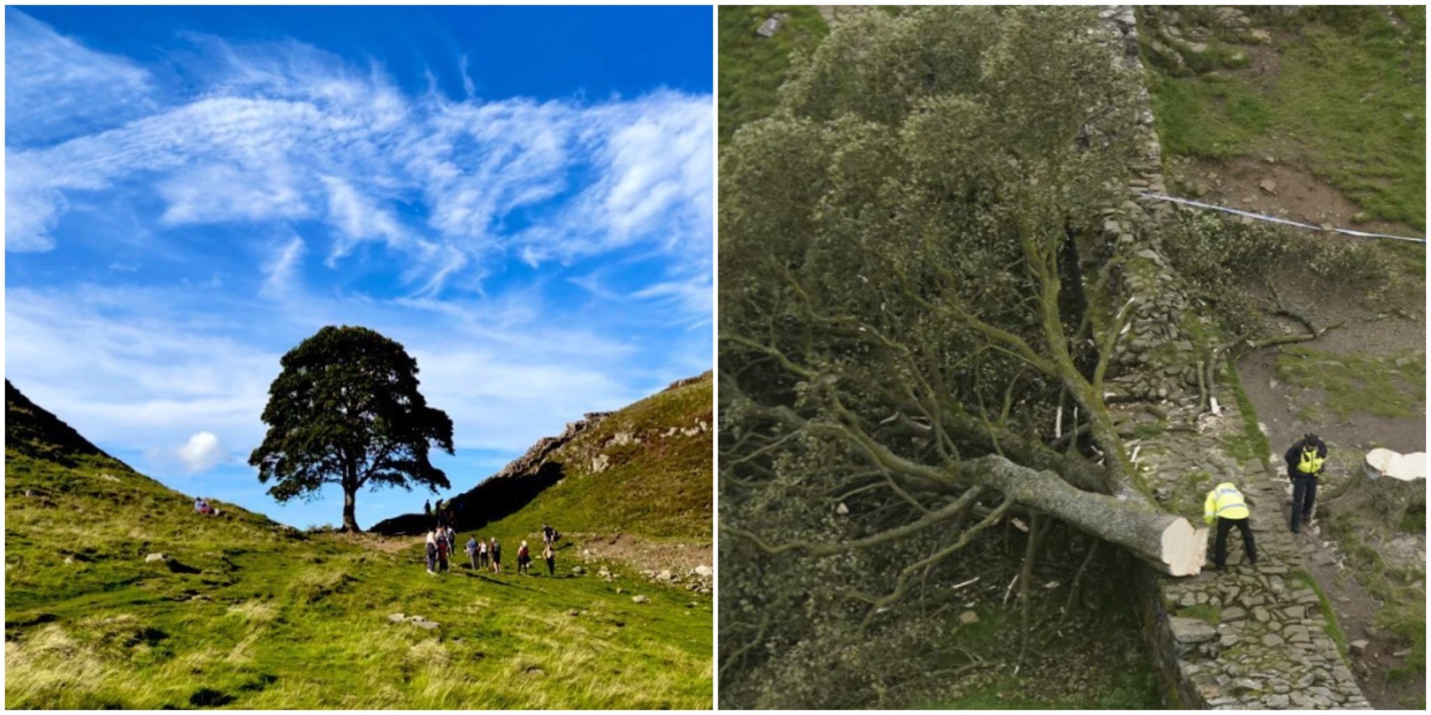 MixCollage-16-Jul-2025-10-09-AM-2315