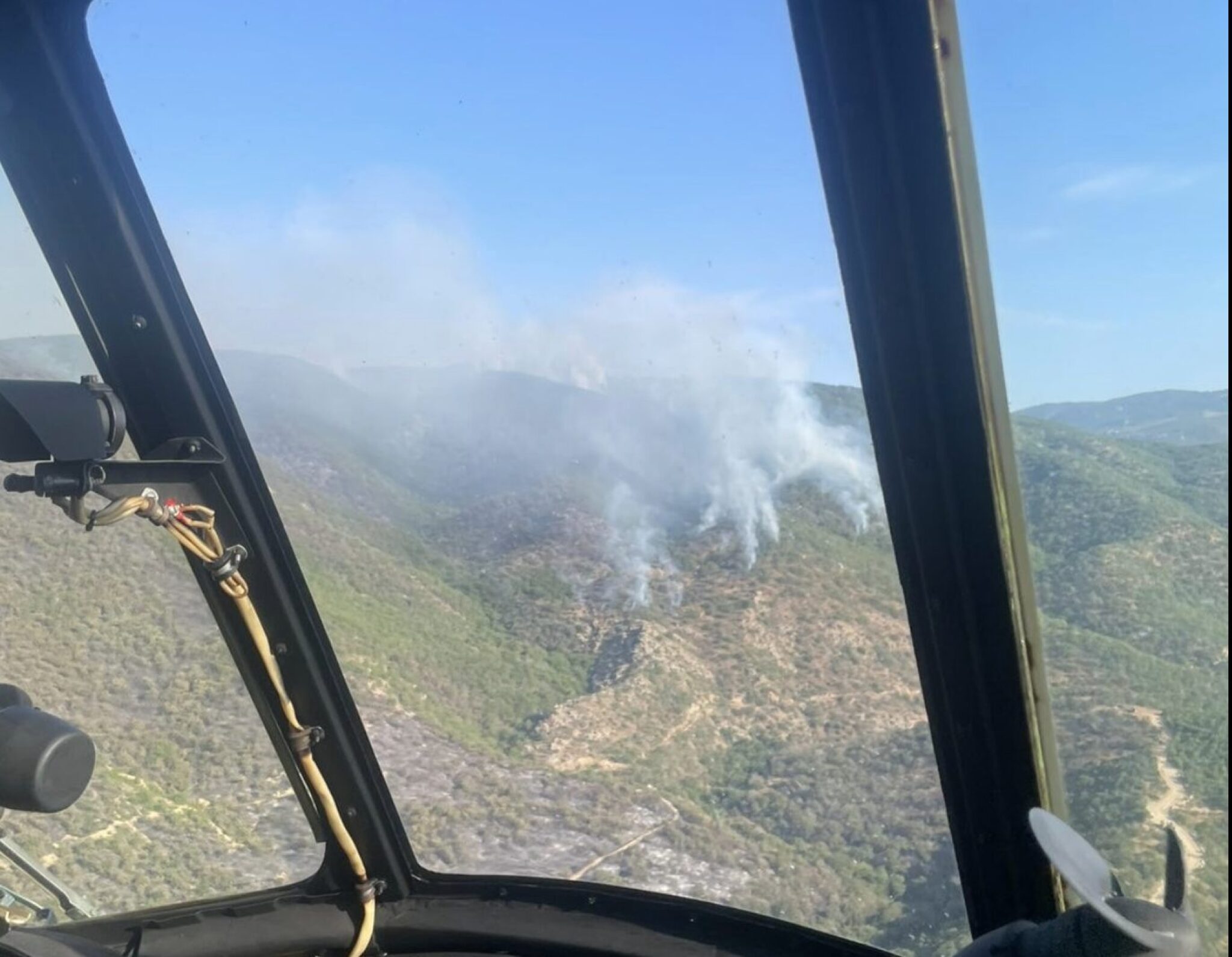 Screenshot-2025-07-12-at-10.32.13