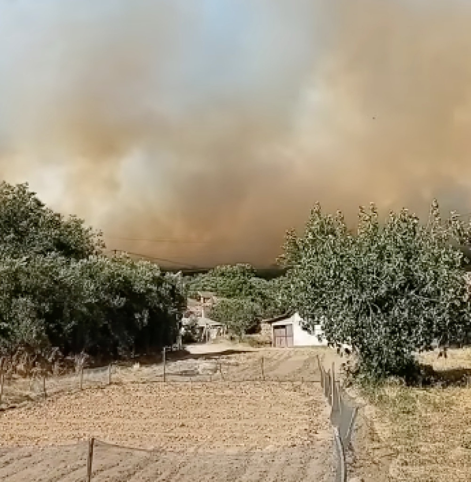 Screenshot-2025-07-01-at-17.36.14