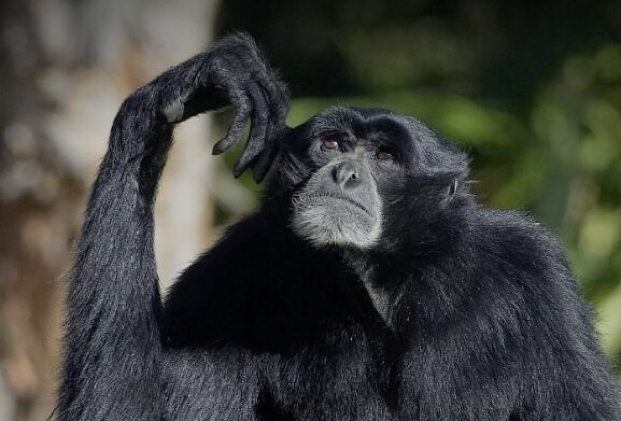 Screenshot-2025-06-16-at-12.27.01