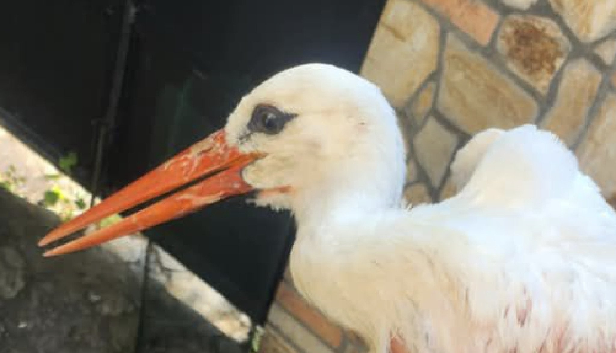 Screenshot-2025-05-21-at-12.31.24