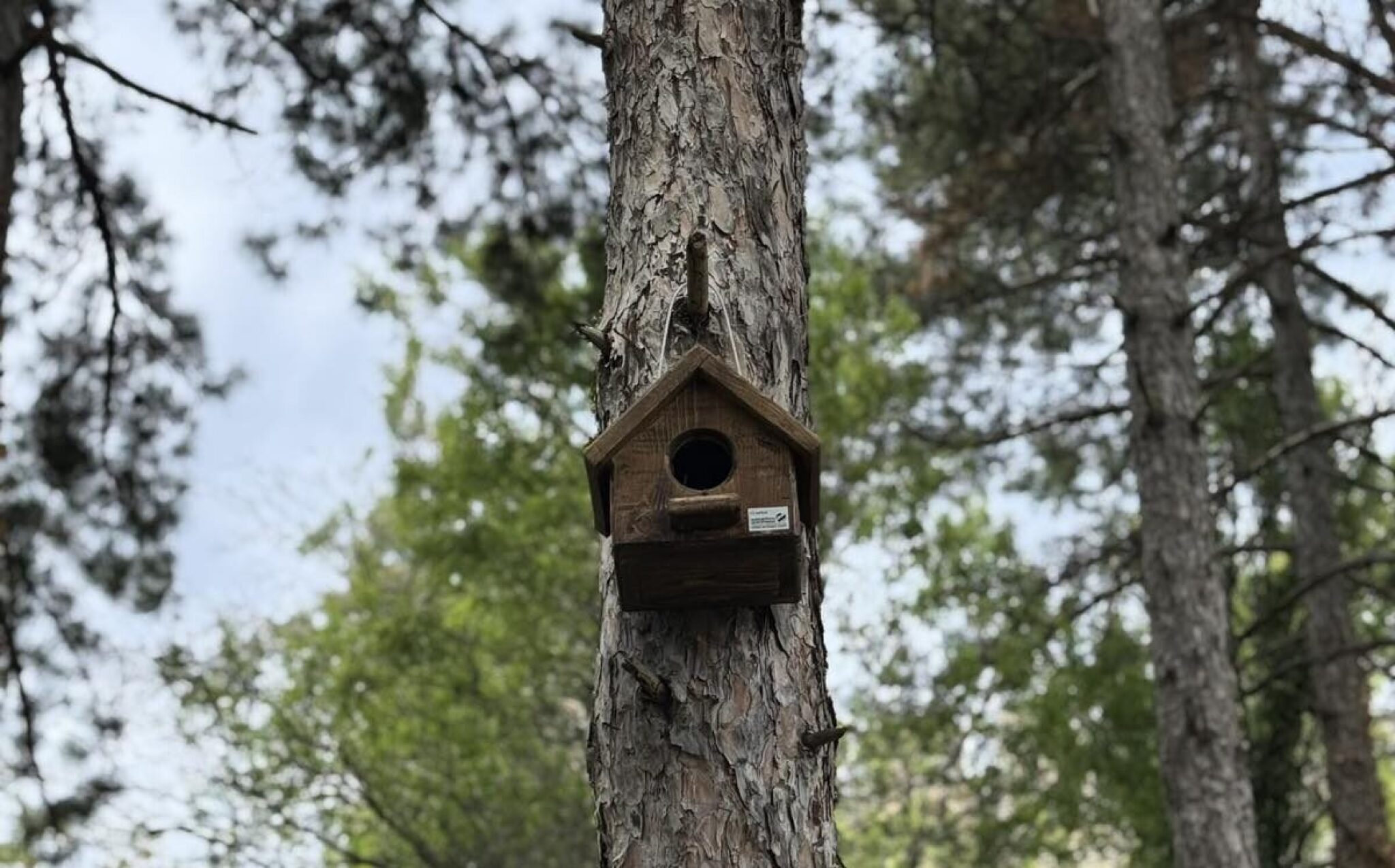 IMG-fb89288f42f5f29fac3183e24d503dcf-V-e1747312225292