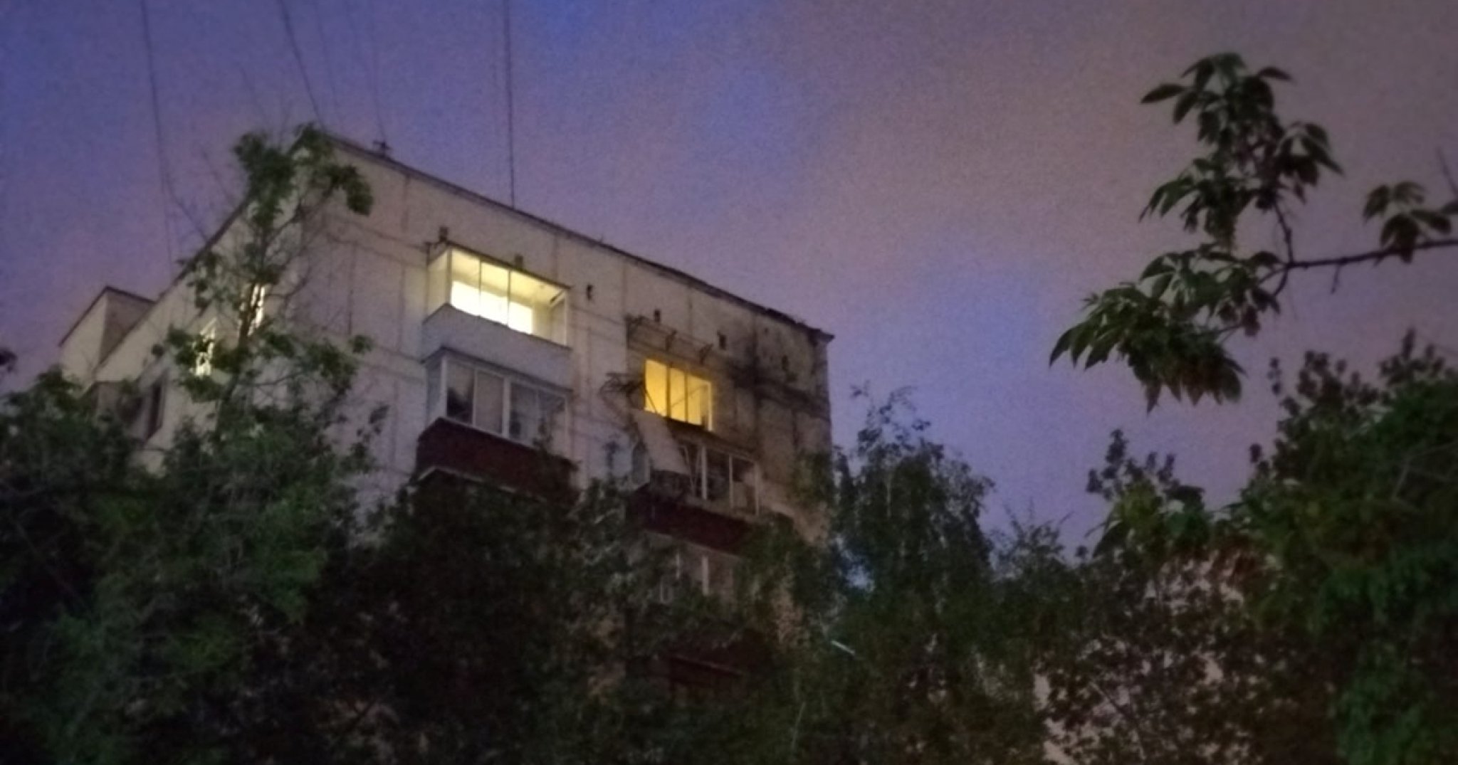 0619bdba-1305-49ed-a9cc-3033af1e6828