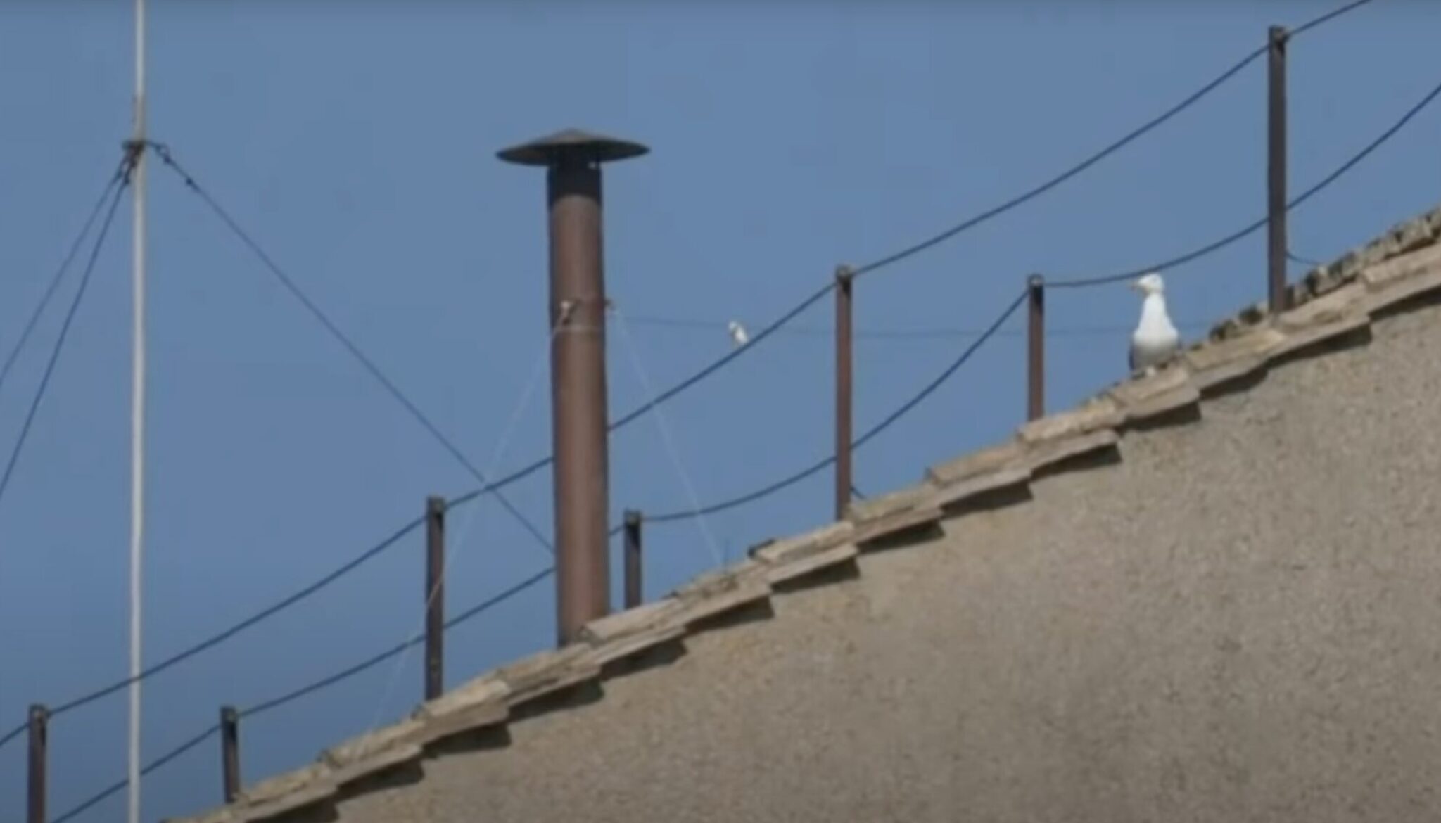 Screenshot-2025-05-02-at-13.59.31