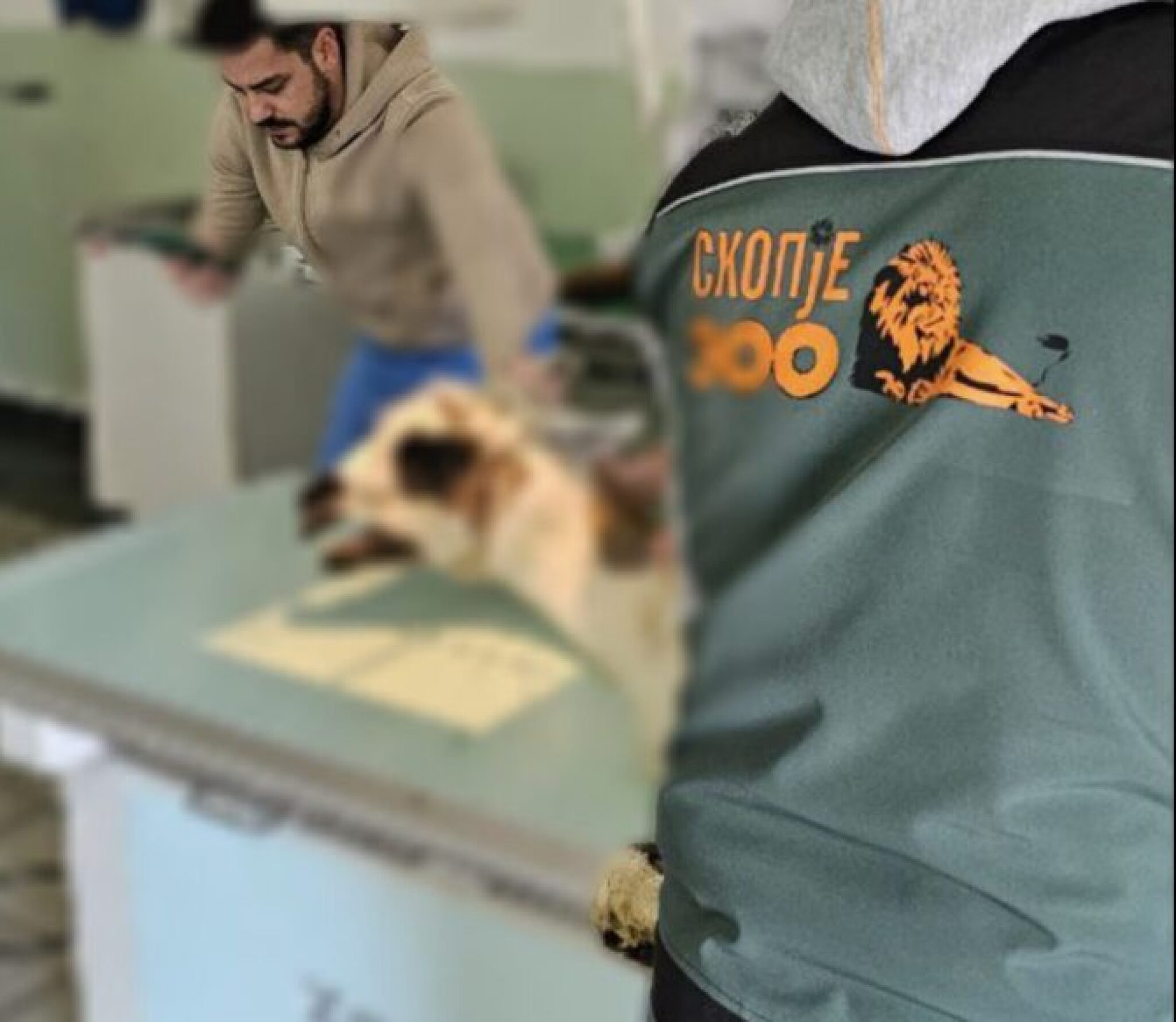 Screenshot-2025-04-08-at-15.05.58