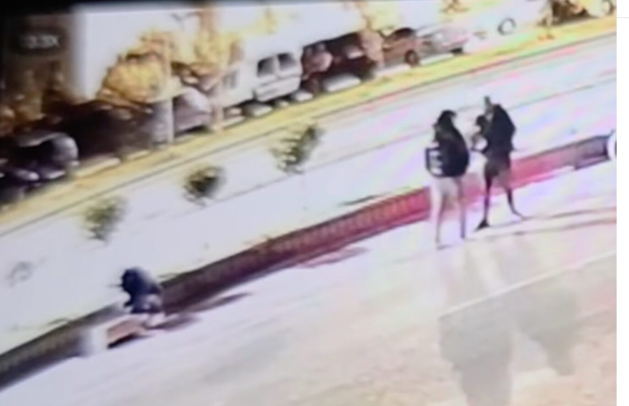 Screenshot-2025-03-20-at-10.08.17