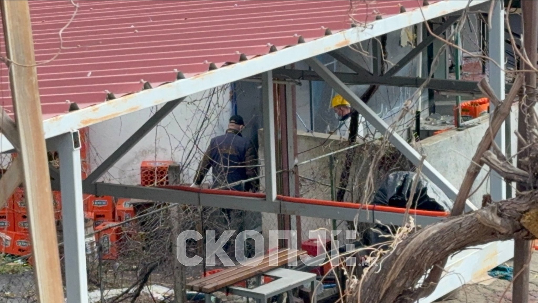 viber_image_2025-03-18_13-58-16-981-1