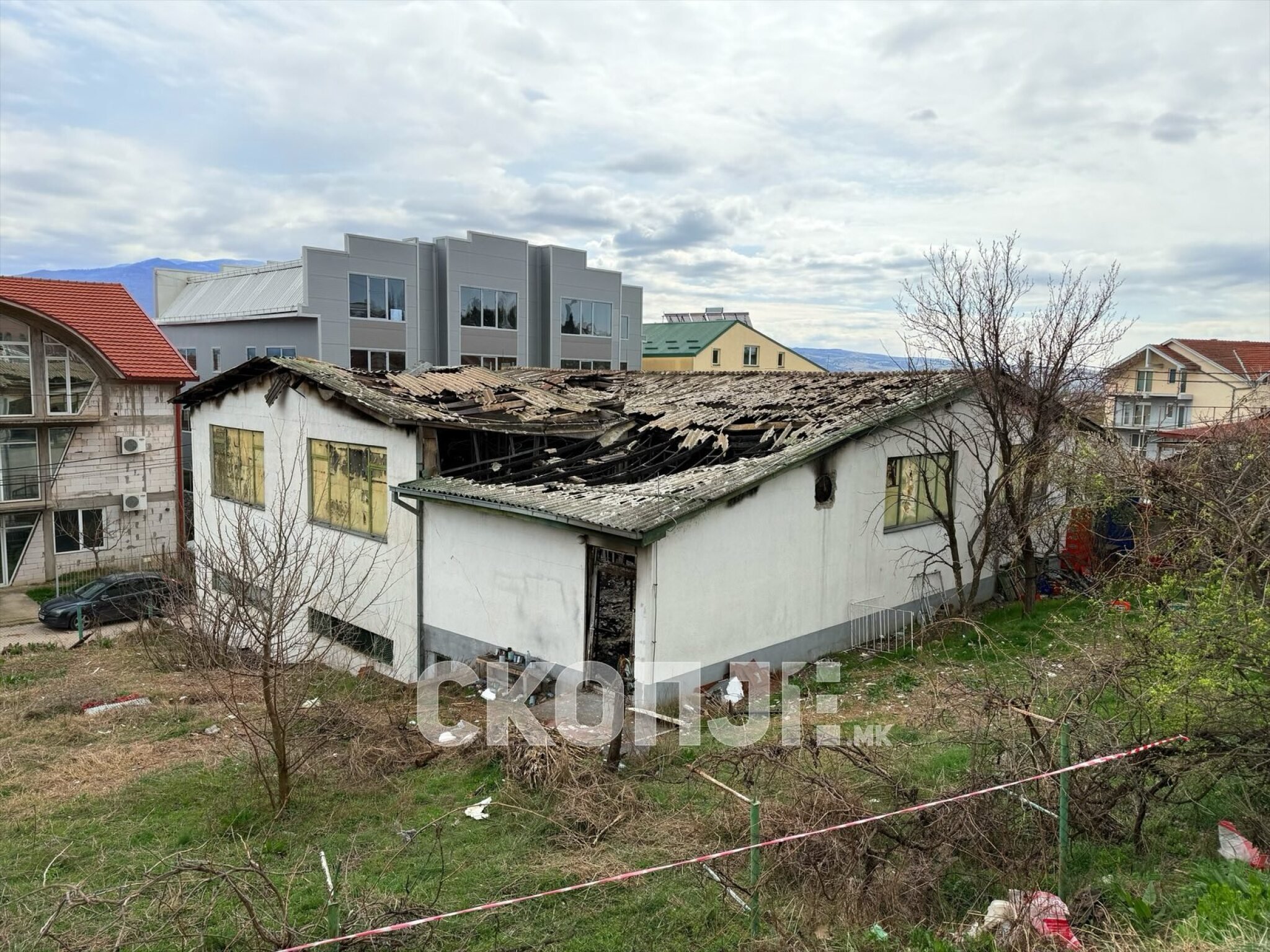 viber_image_2025-03-18_13-58-16-518