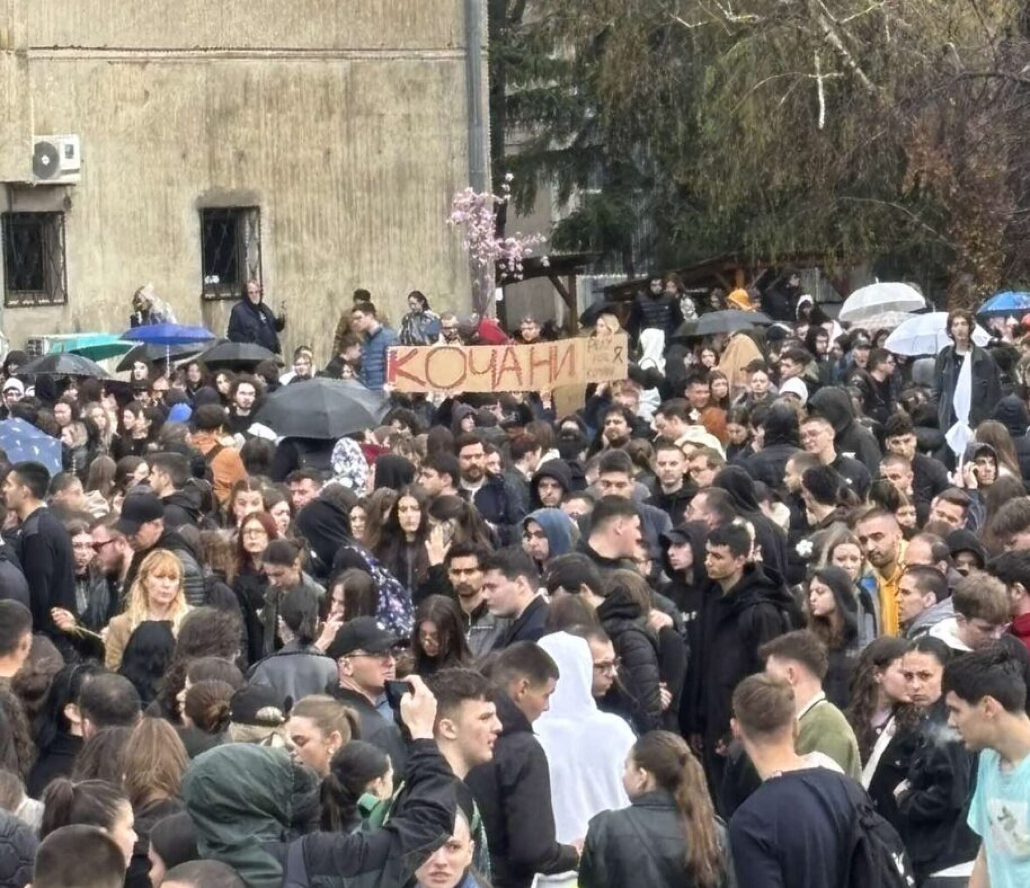 Screenshot-2025-03-17-at-14.14.48