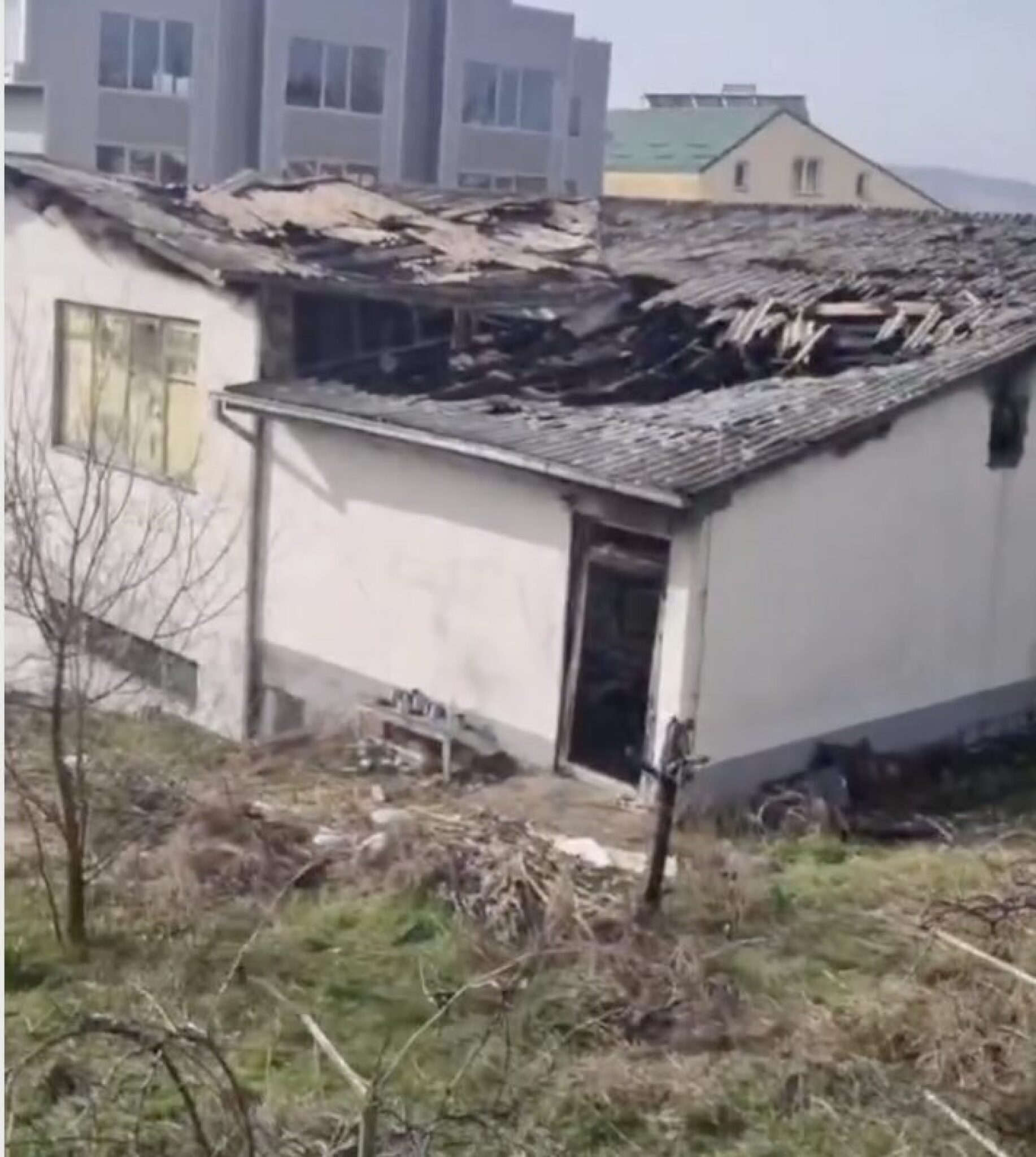 Screenshot-2025-03-16-at-10.15.36