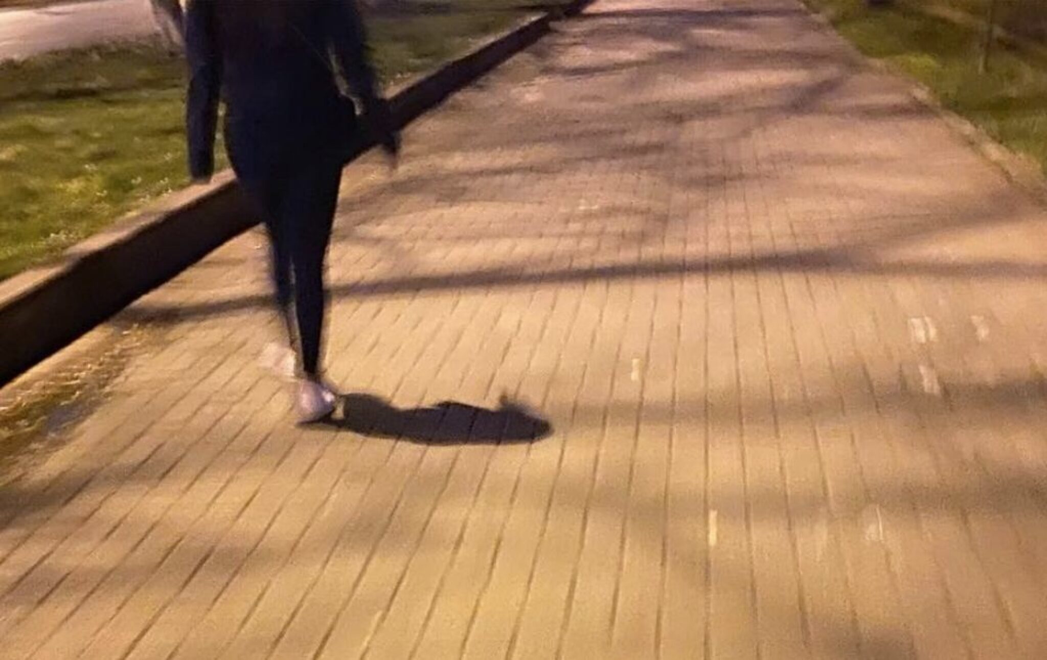 Screenshot-2025-03-13-at-20.06.00