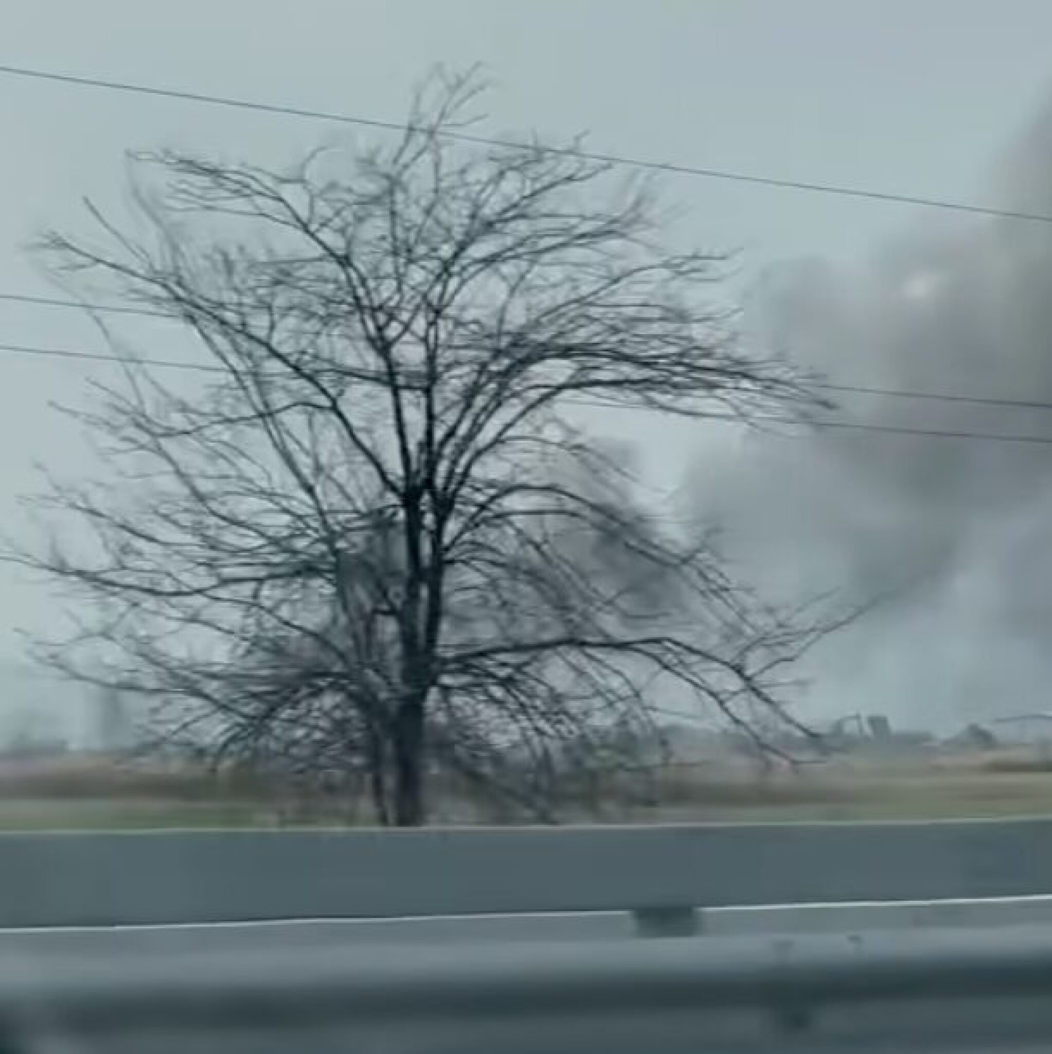 Screenshot-2025-03-13-at-11.36.28