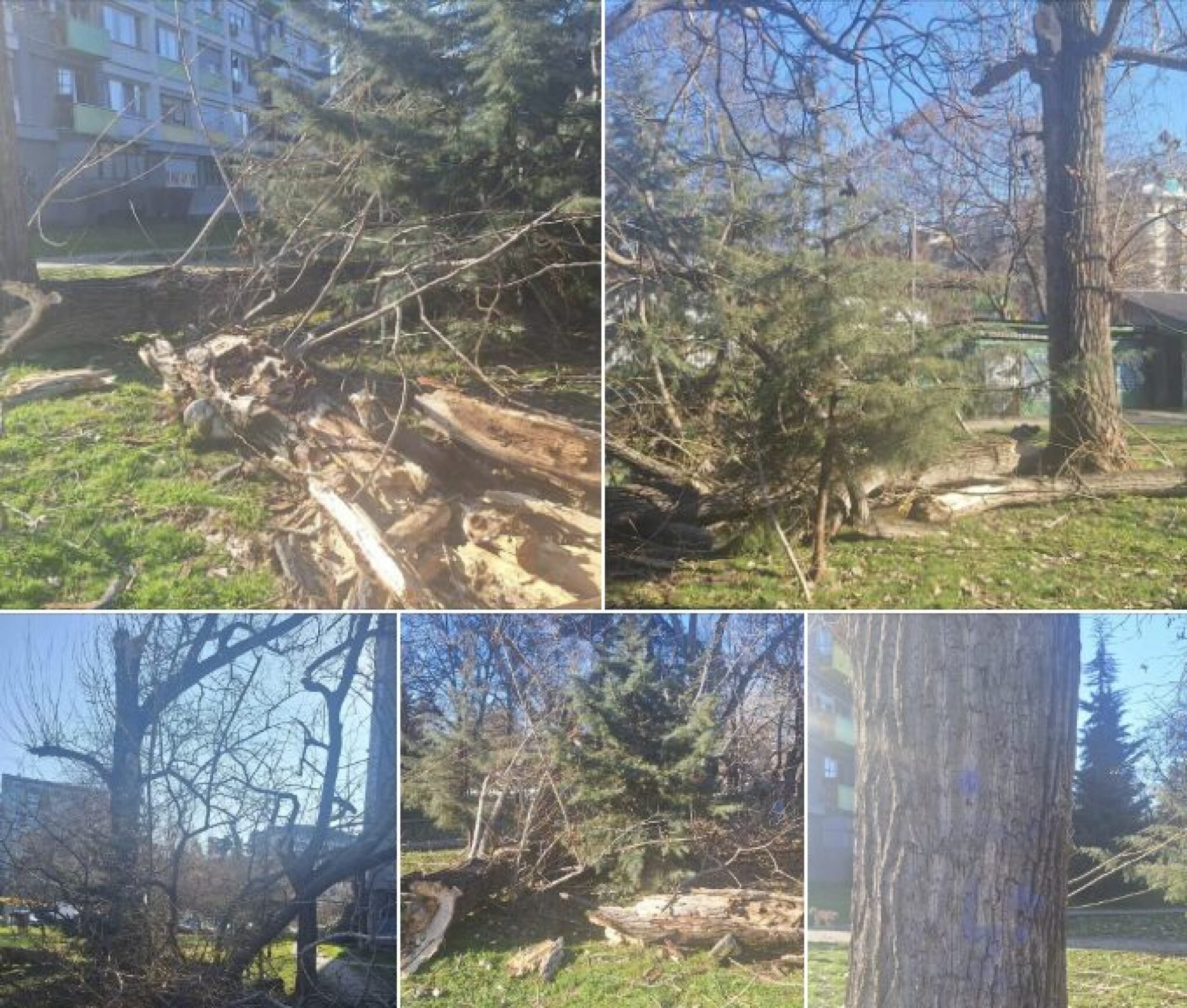 Screenshot-2025-03-04-at-18.28.37