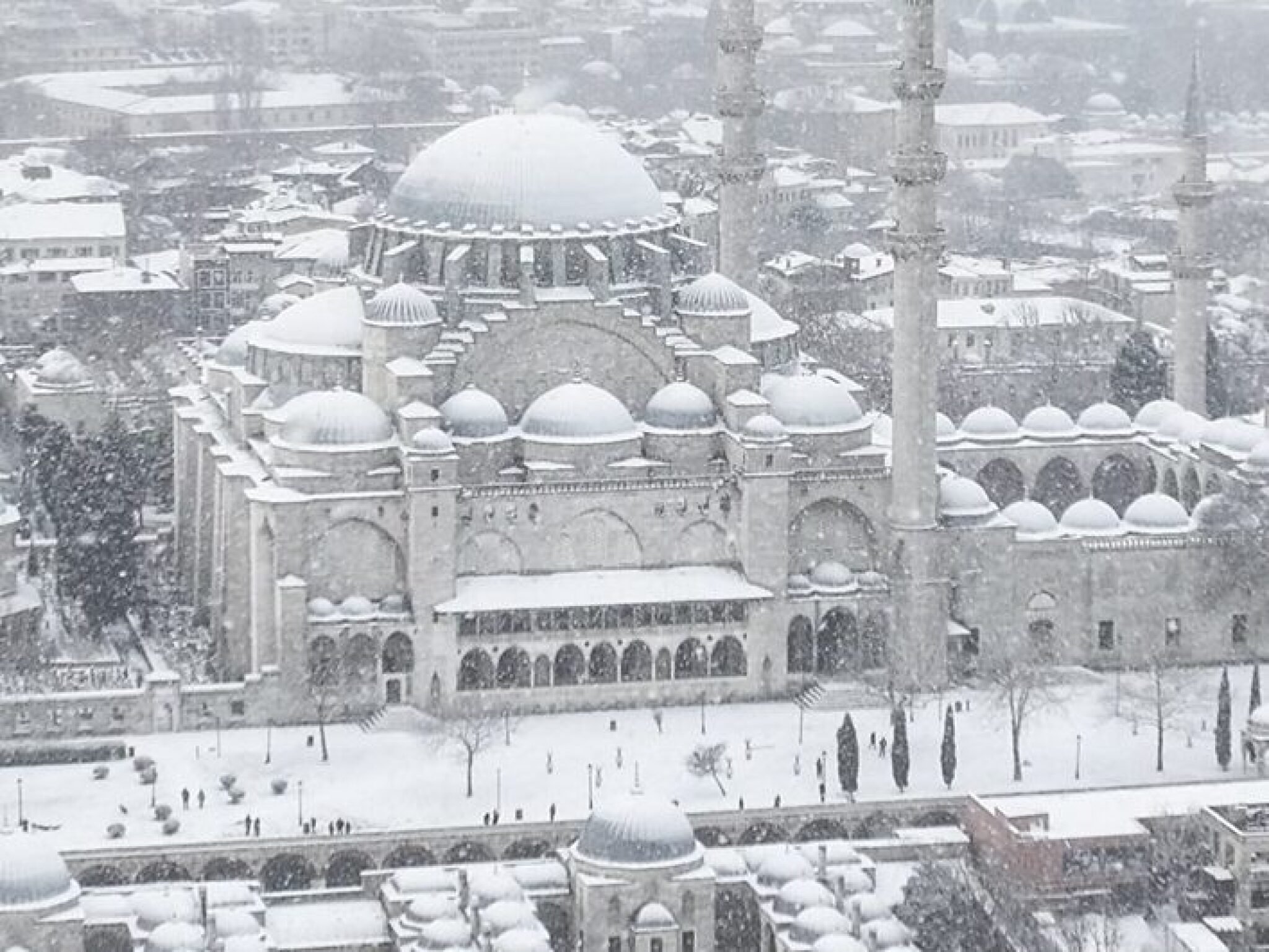 Screenshot-2025-02-23-at-12.07.25