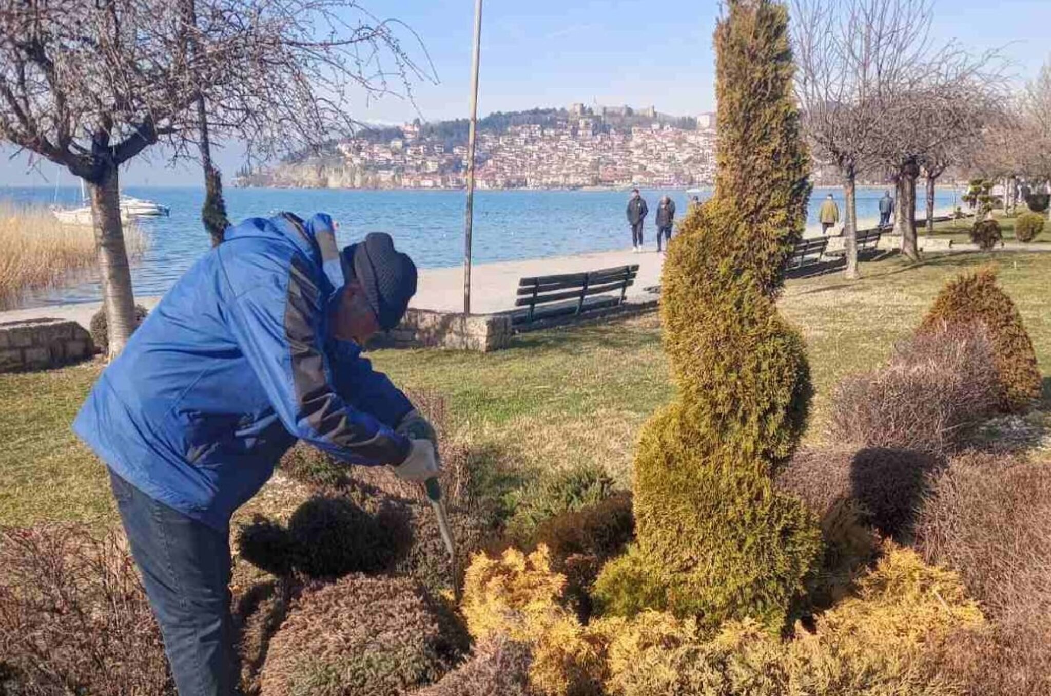 Screenshot-2025-02-04-142858