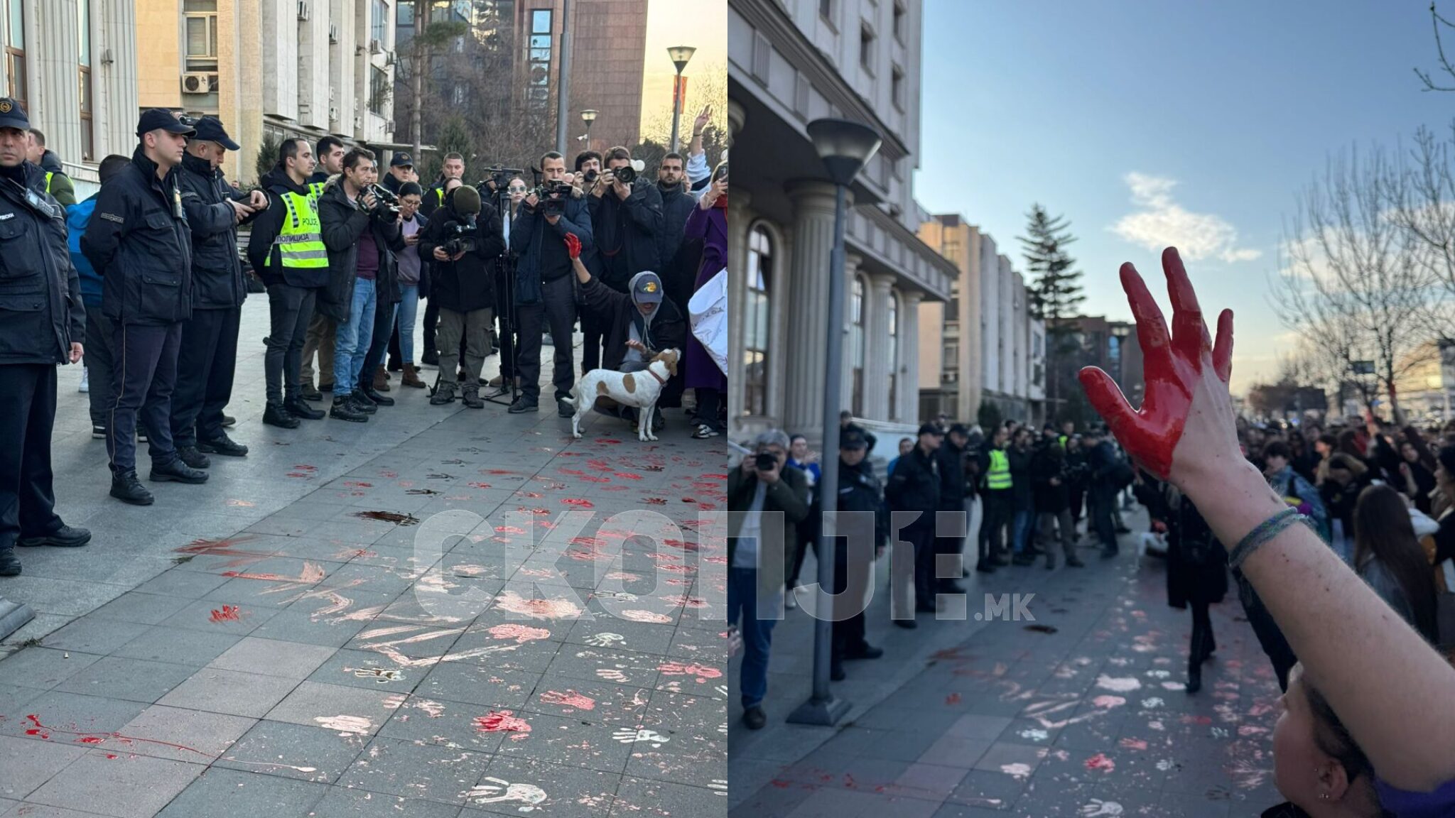 protest-frosina-krivicen