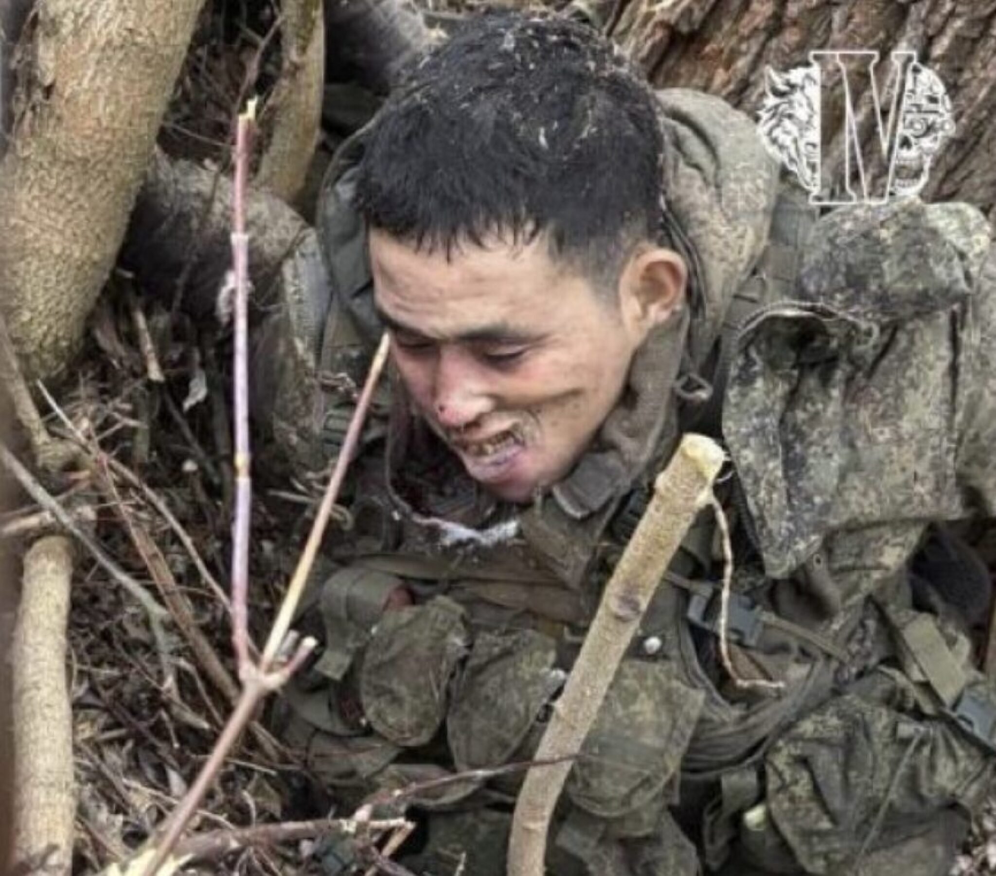 Screenshot-2025-01-22-at-17.32.50