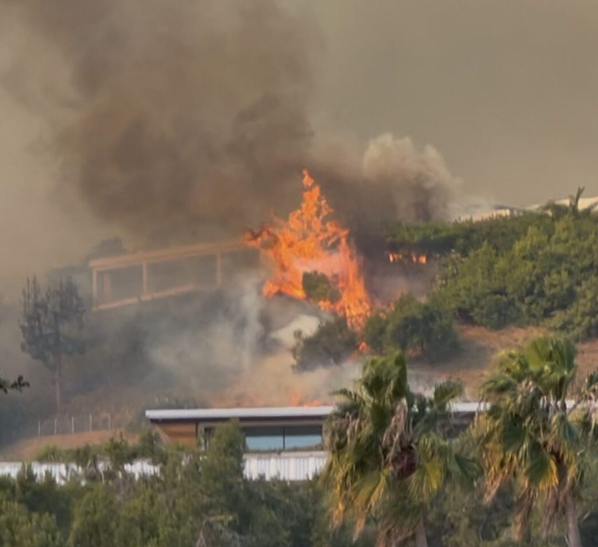 Screenshot-2025-01-08-at-16.07.31