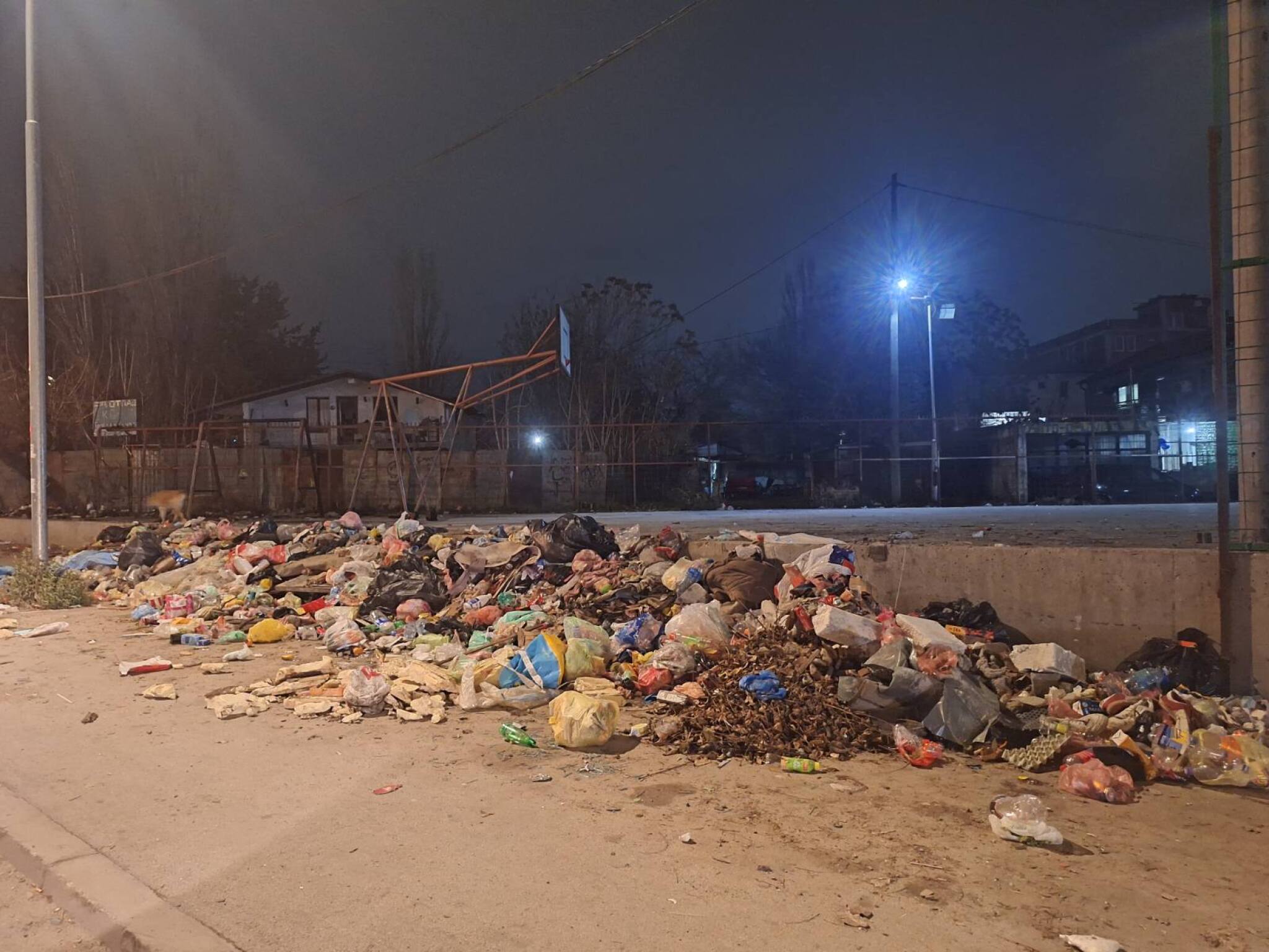 viber_image_2024-12-13_00-14-31-790