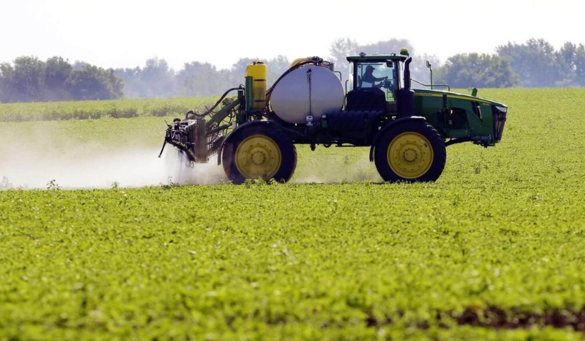 Screenshot-2024-12-28-103145