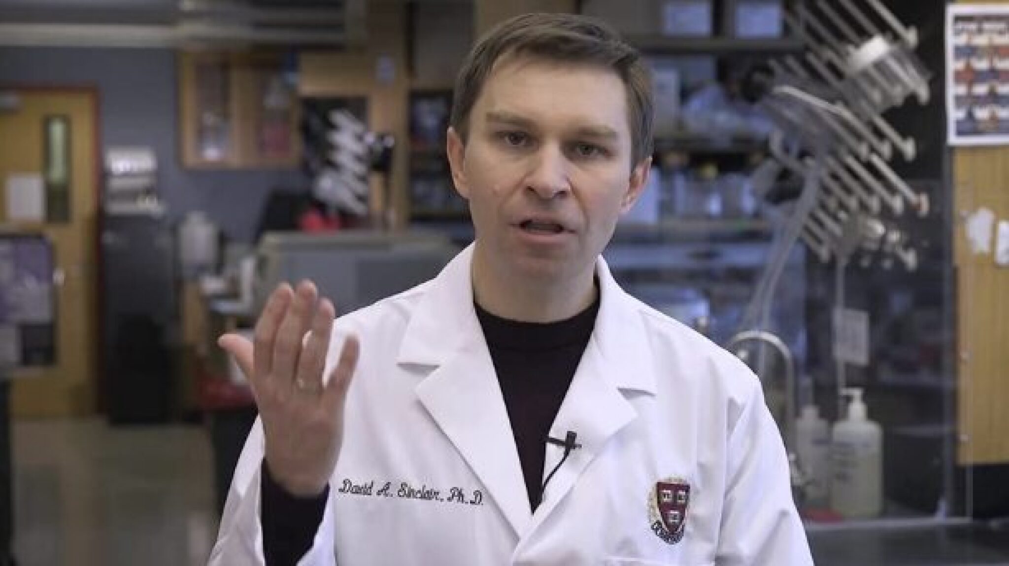 Screenshot-2024-12-14-at-08.22.59