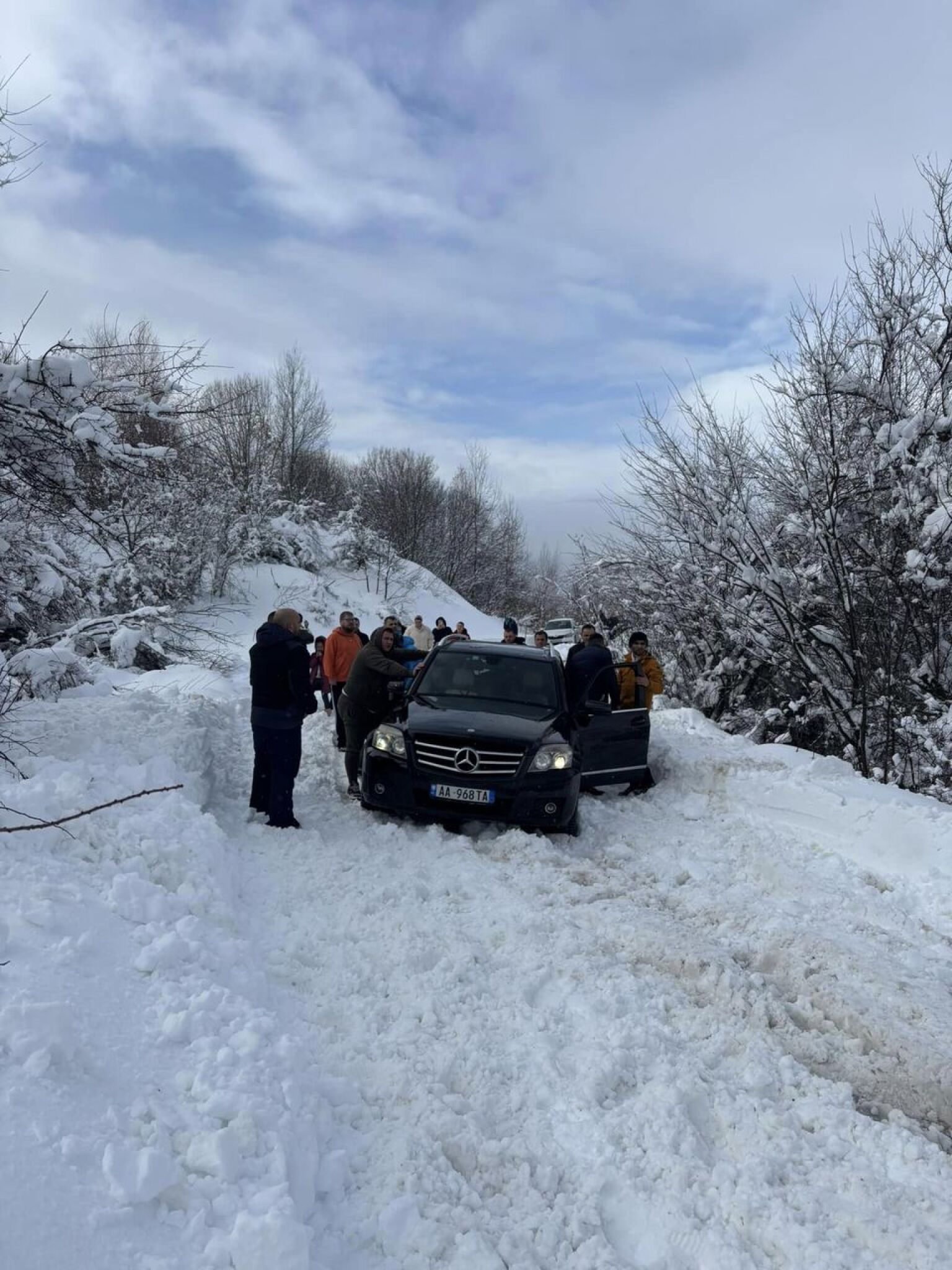 Leunovo-zaglaveni-vo-sneg