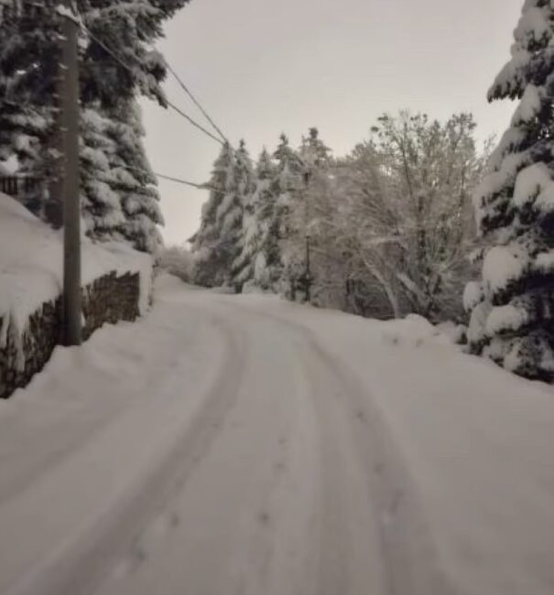 Screenshot-2024-12-01-at-15.23.31