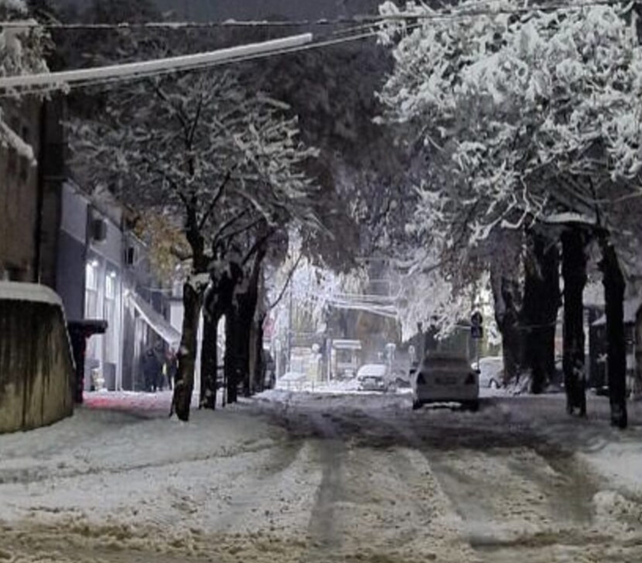 Screenshot-2024-12-01-at-11.00.02