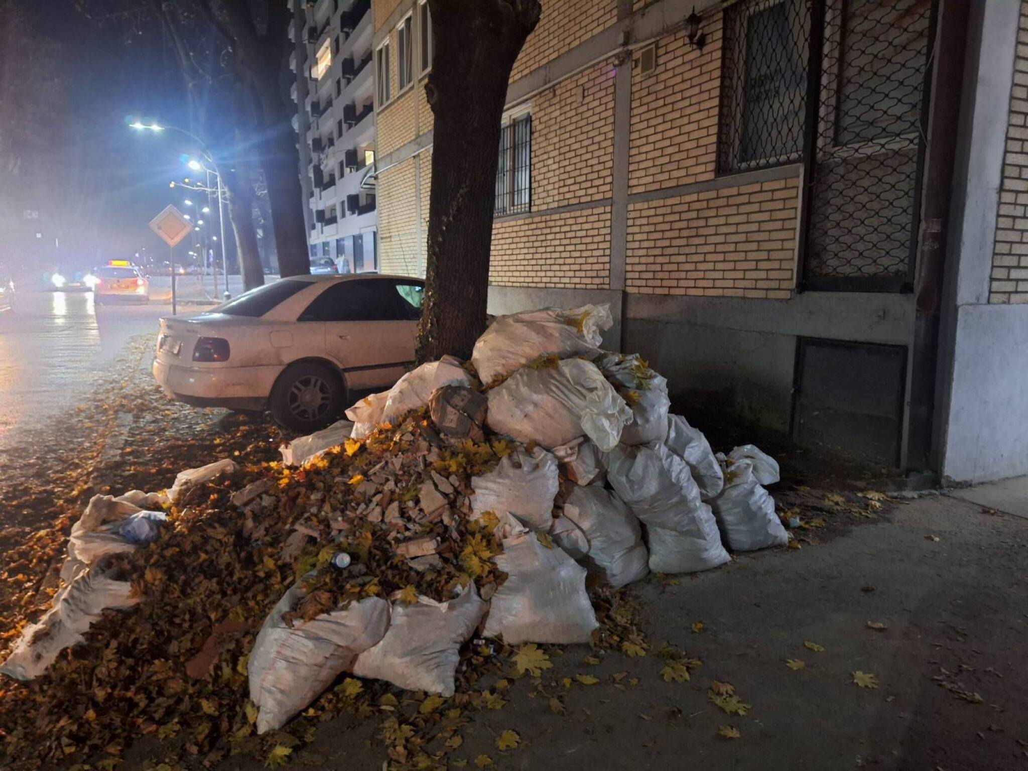 viber_image_2024-11-27_18-30-03-566