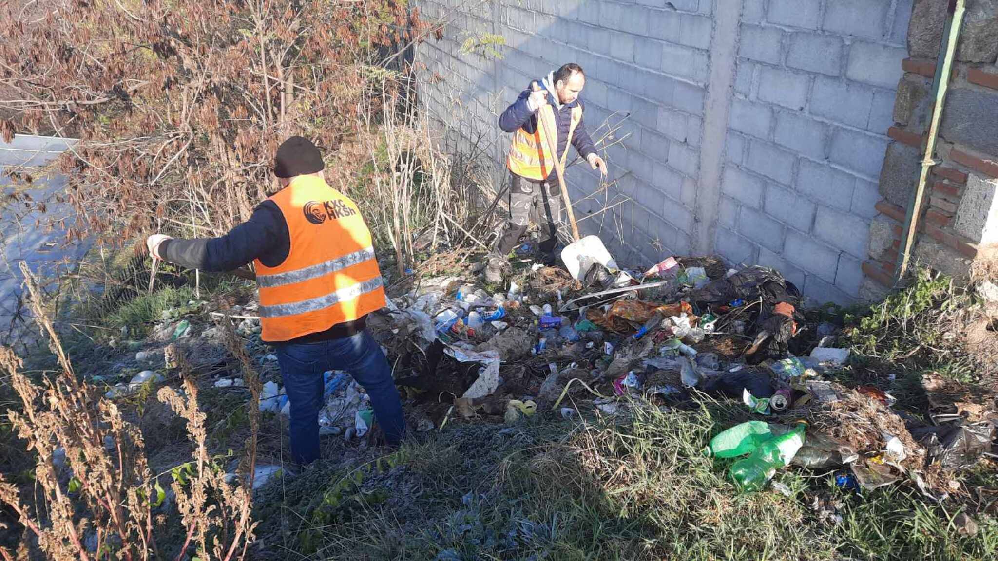 viber_image_2024-11-26_10-33-09-458