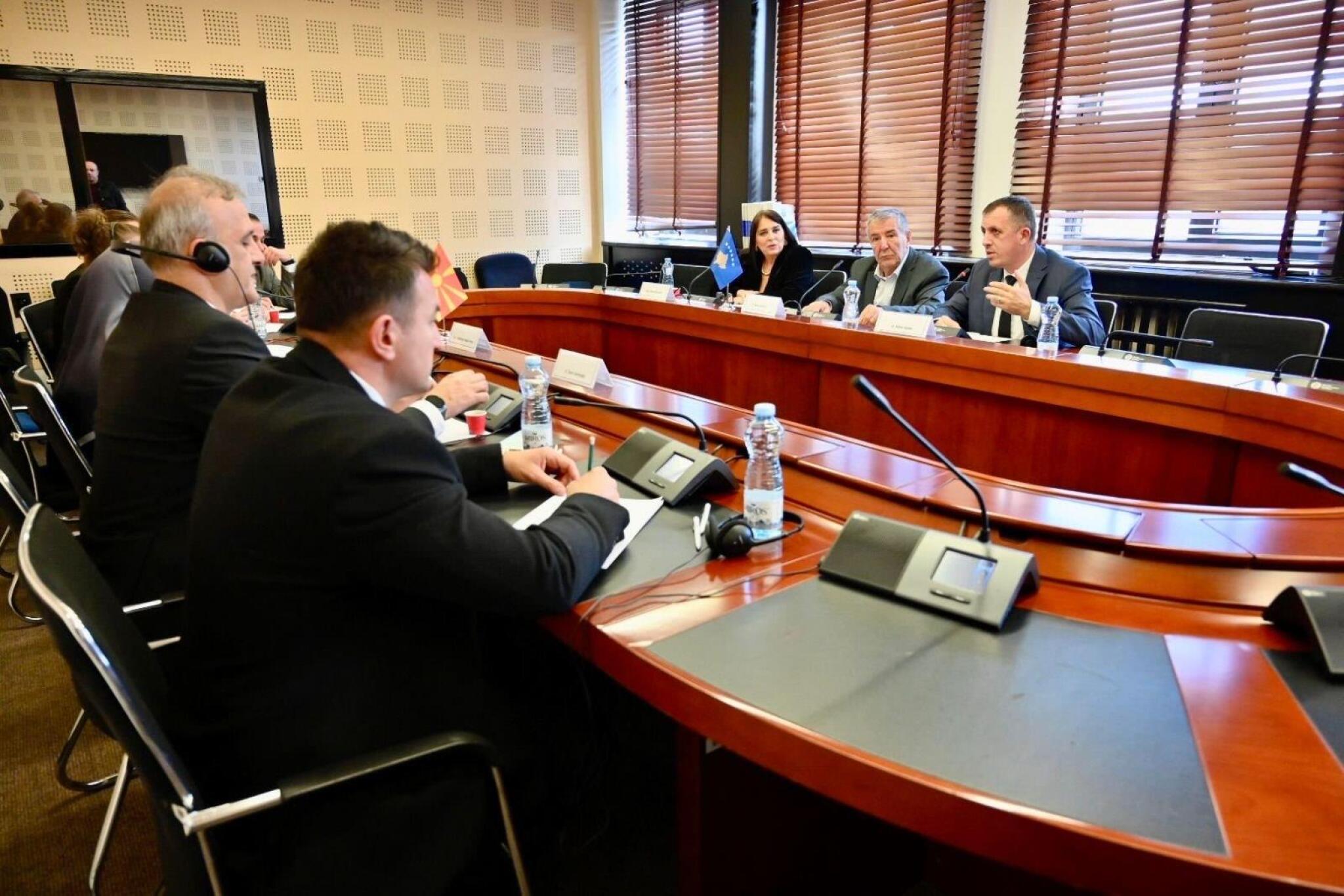 pratenicki-grupi-kosovo-2