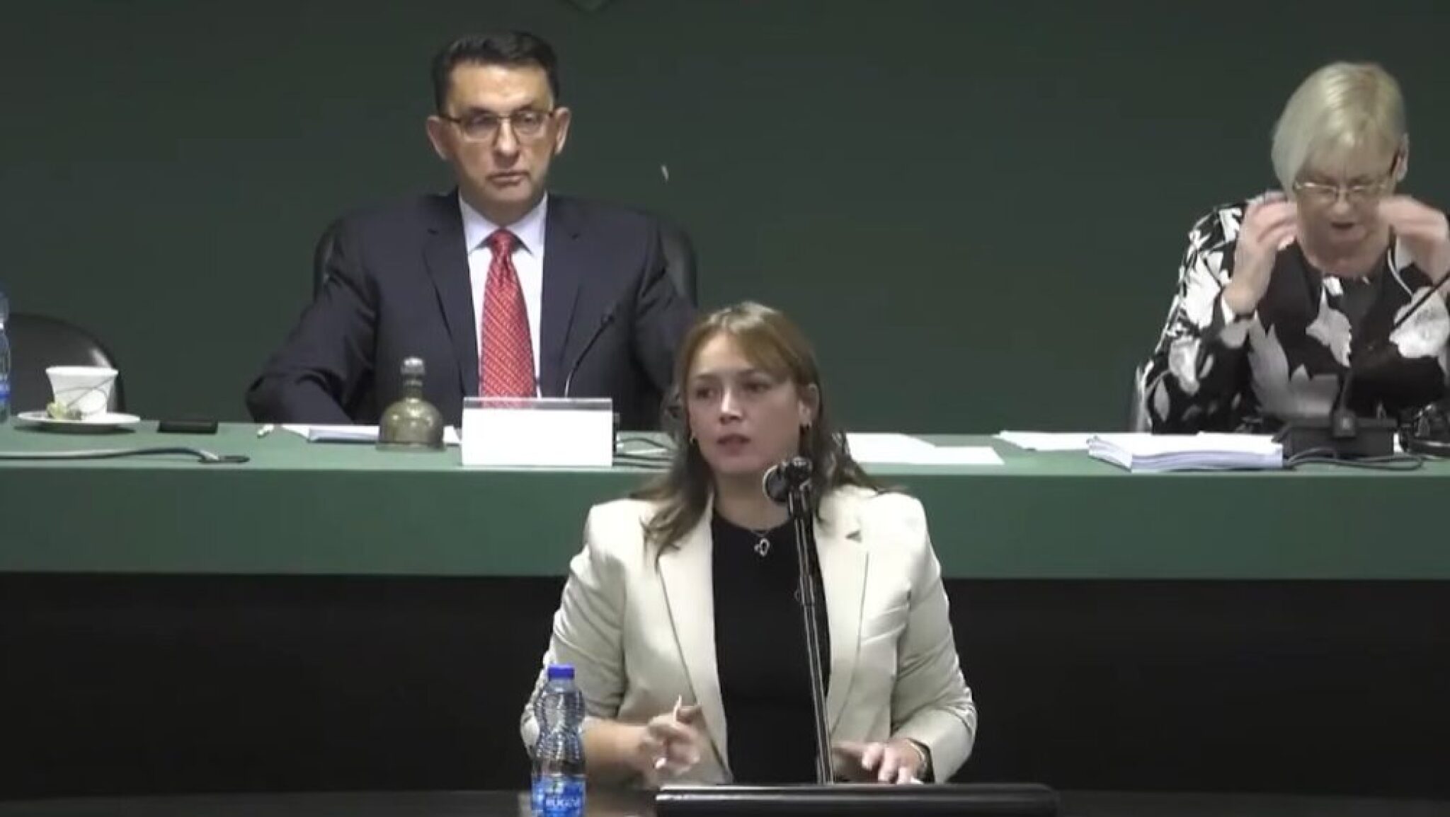 Screenshot-2024-11-22-094221