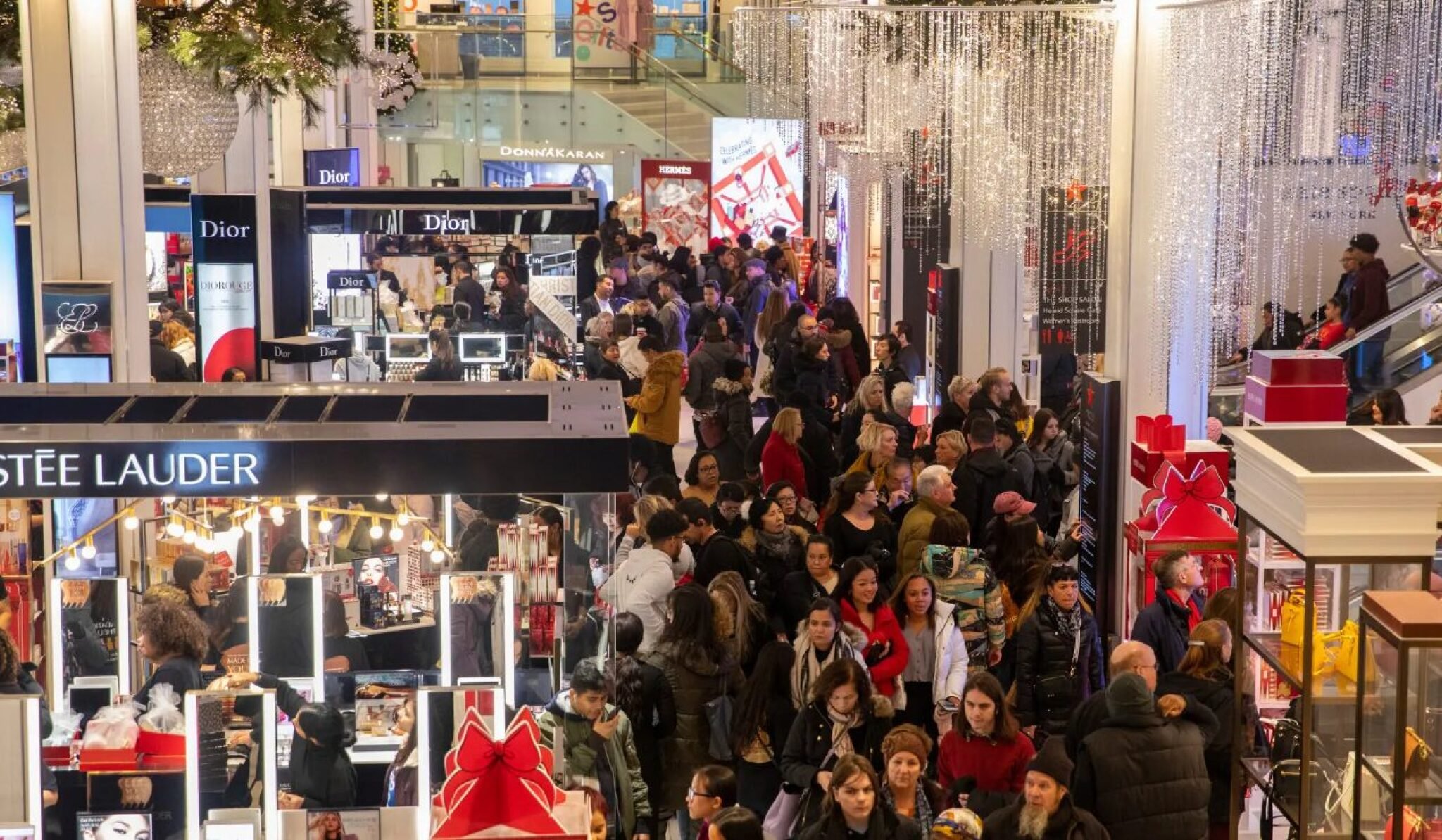 Screenshot-2024-11-20-145740