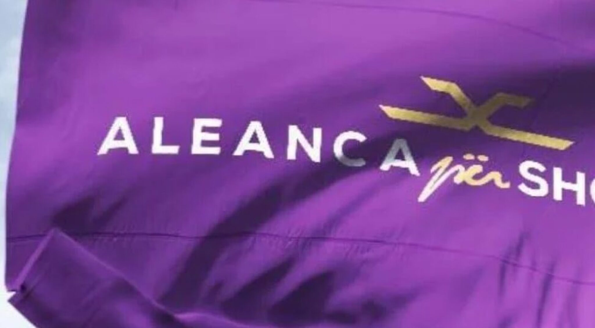 Screenshot-2024-11-12-135901