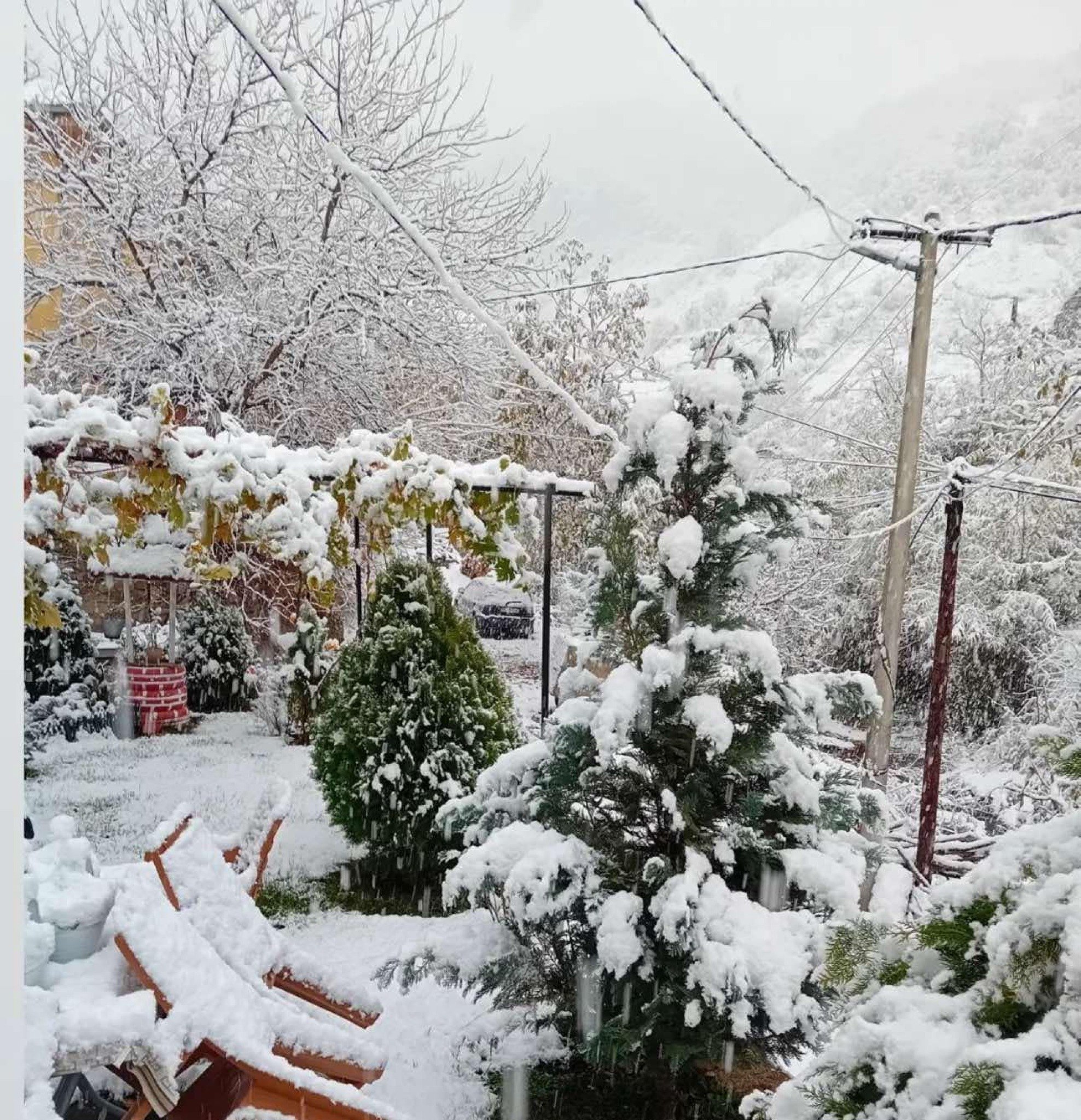 ad2bcffd-b814-48e4-bec8-a70326eef6b0