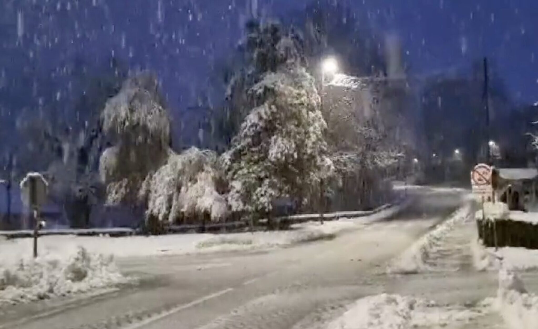 Screenshot-2024-11-09-at-08.37.57