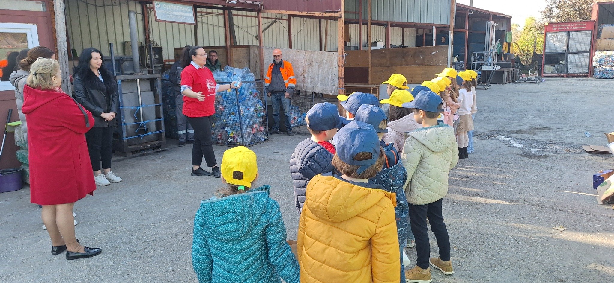 viber_image_2024-11-07_13-29-02-743