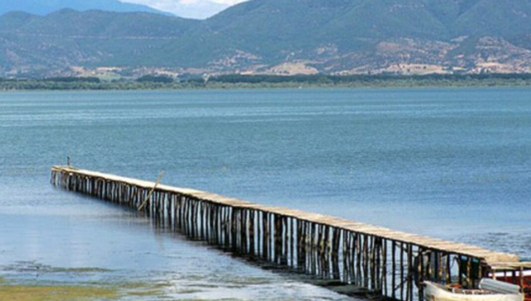 Screenshot-2024-11-07-103842