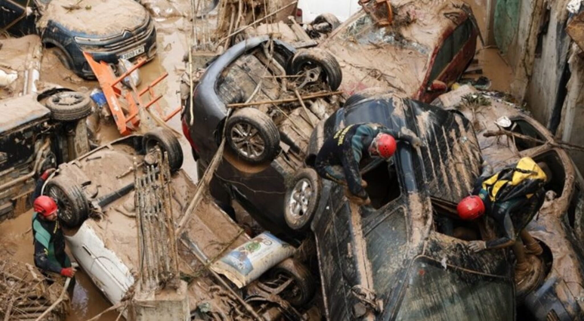 Screenshot-2024-11-04-143536