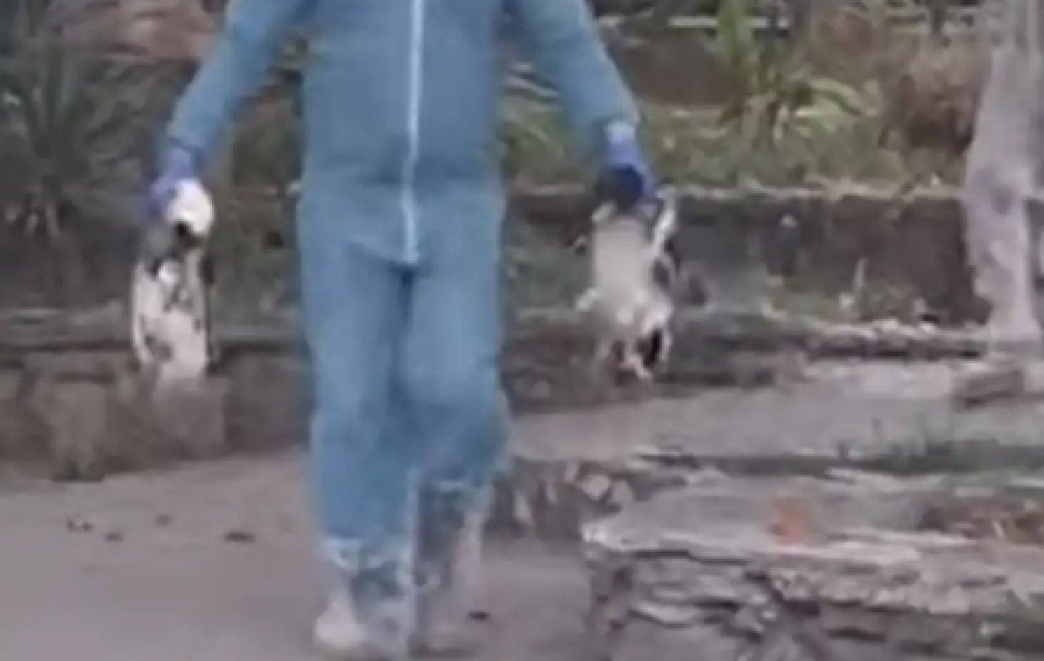 Screenshot-2024-10-31-at-14.22.59