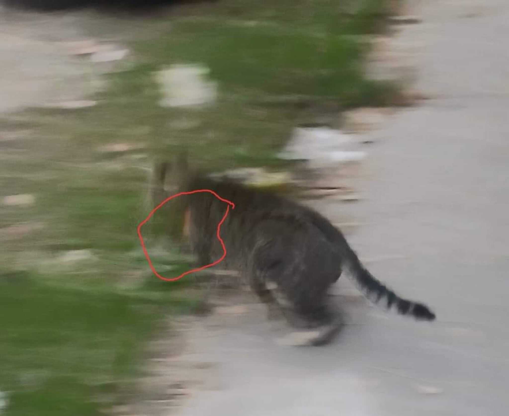 465025293_539784725347775_8378153178362246114_n