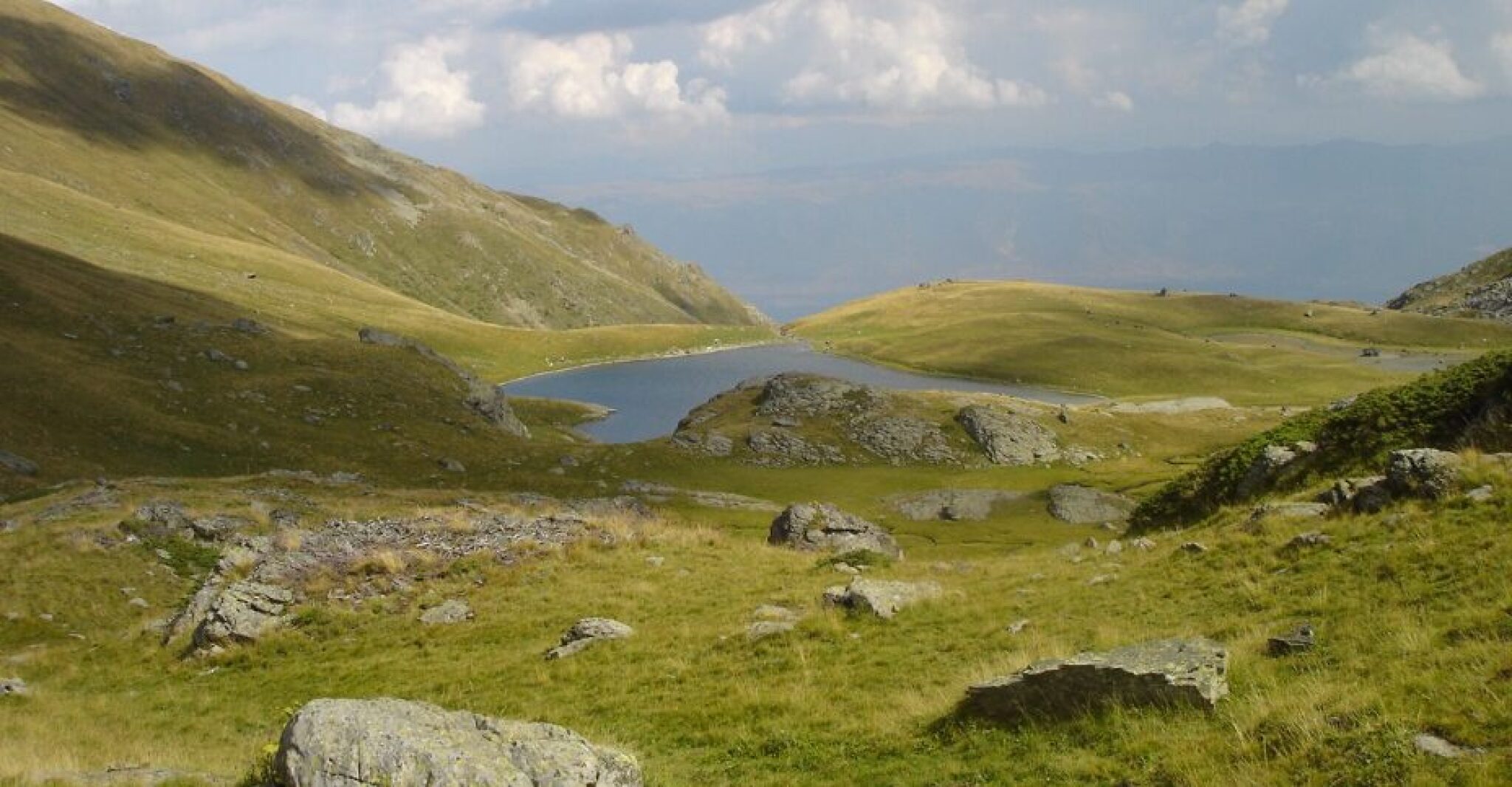 Screenshot-2024-10-24-101046