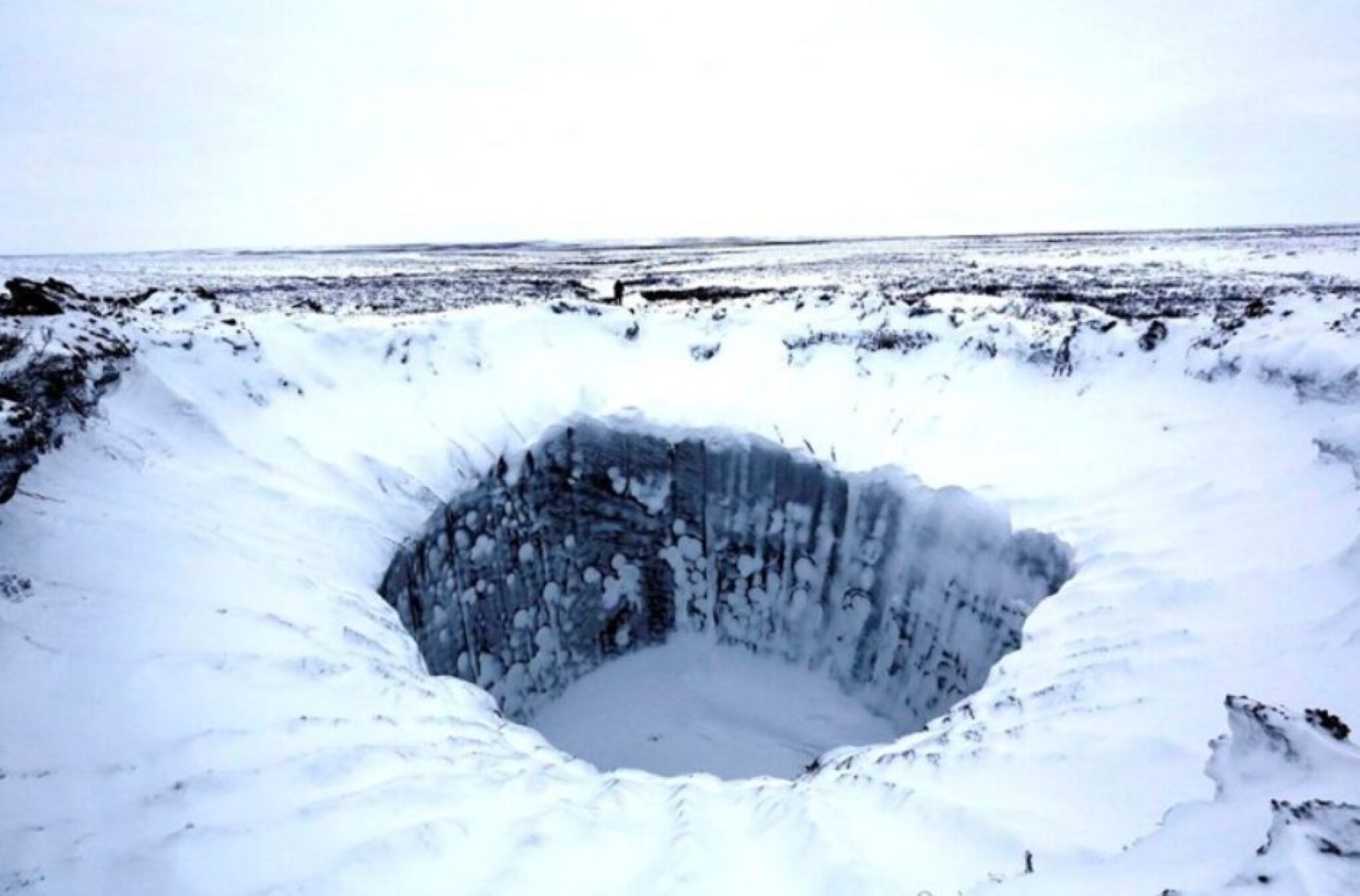 Screenshot-2024-10-23-090706